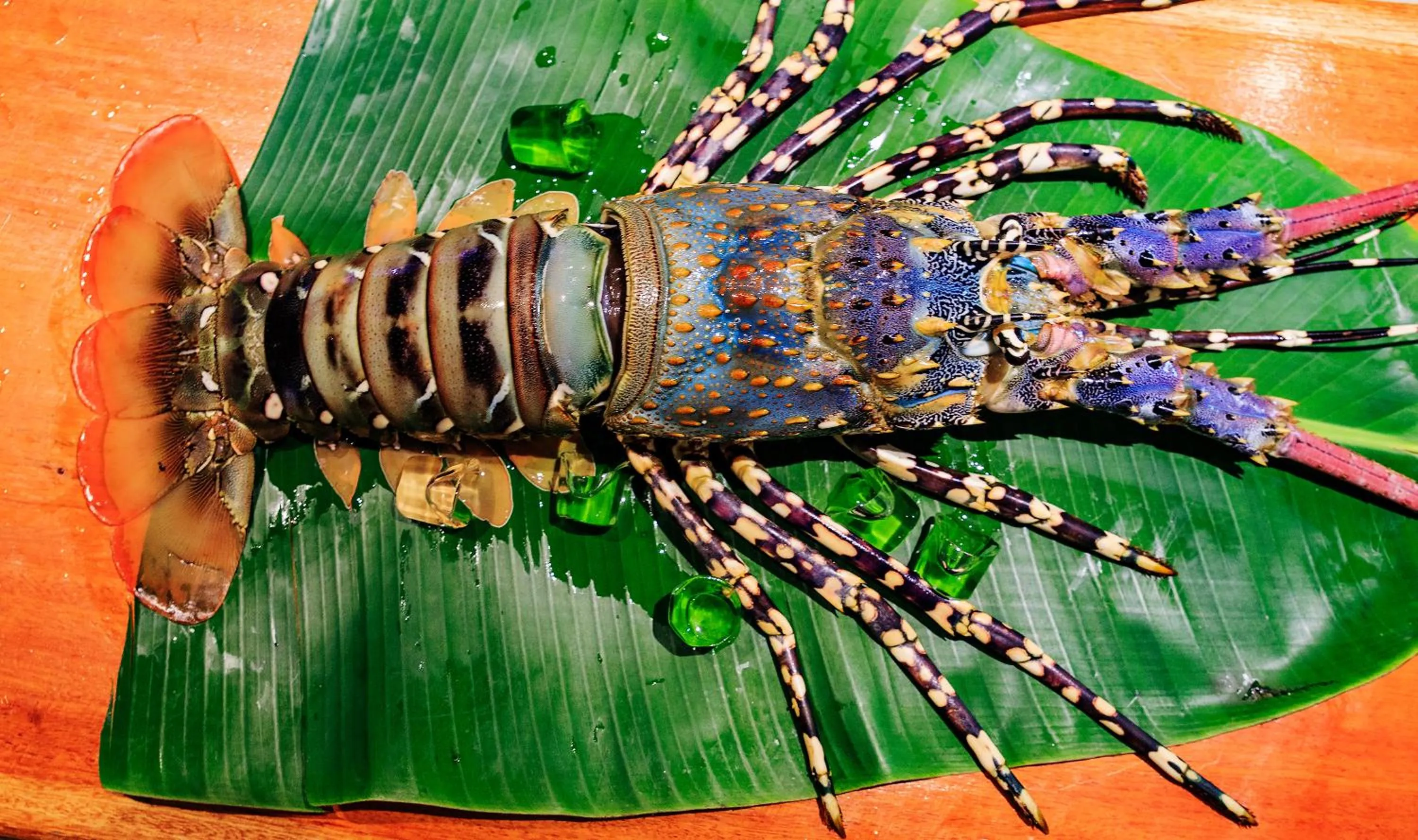 Dinner in Maui Palms