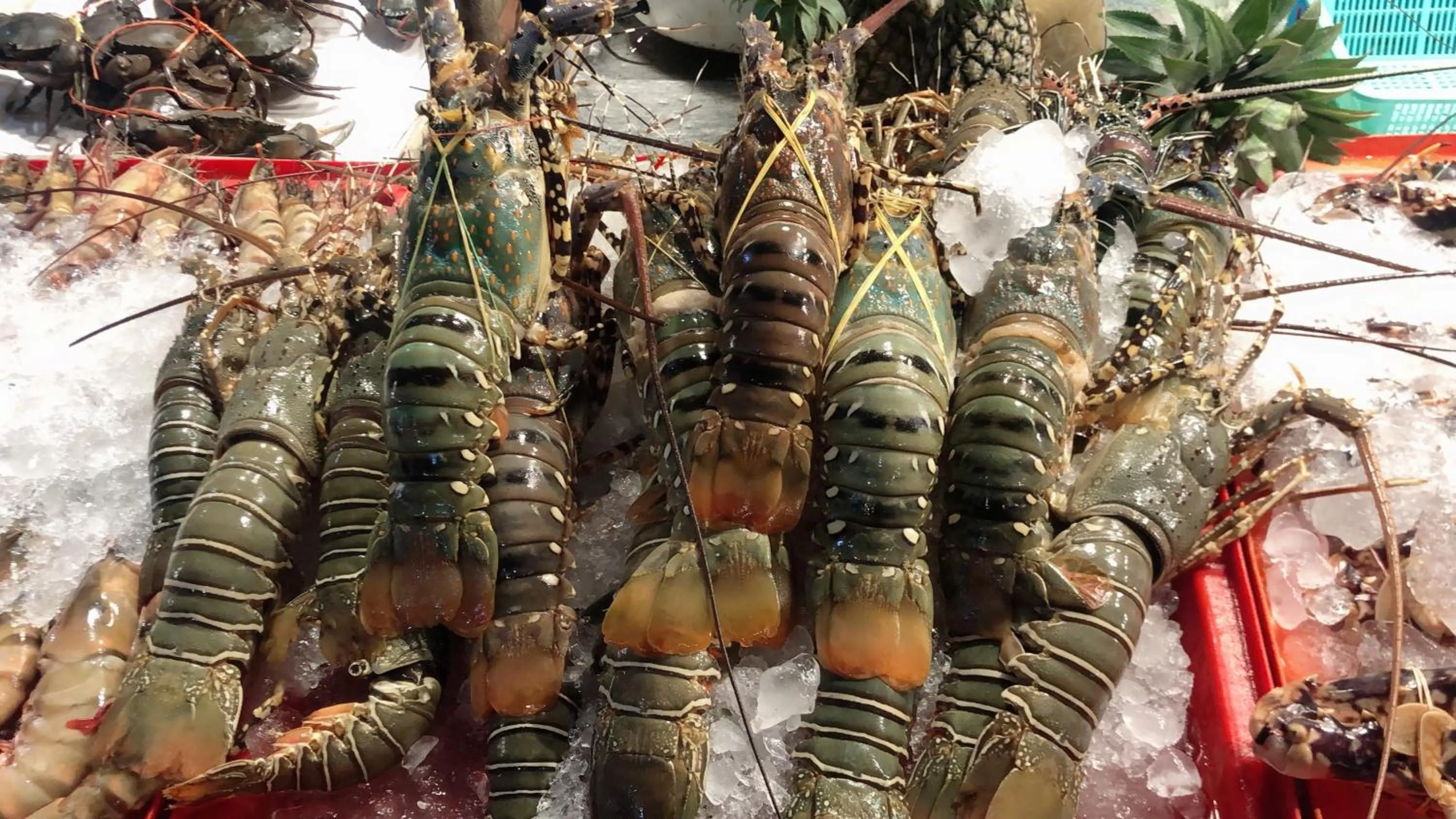 Activities in The Way Patong Hotel