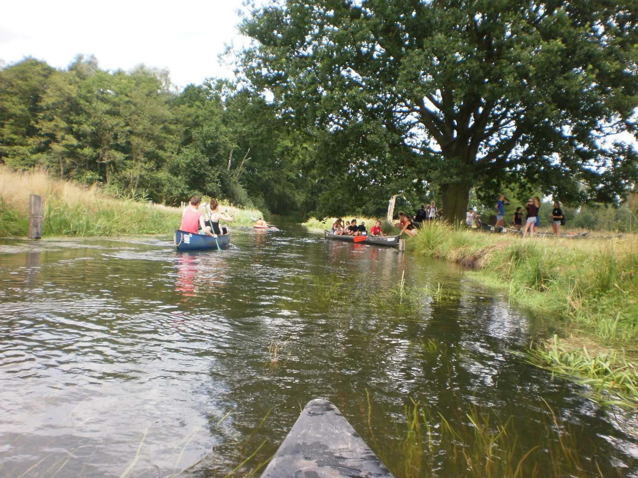 boerderijkamer Korenbloem