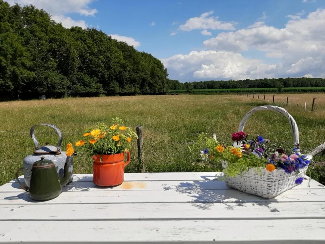 boerderijkamer Korenbloem