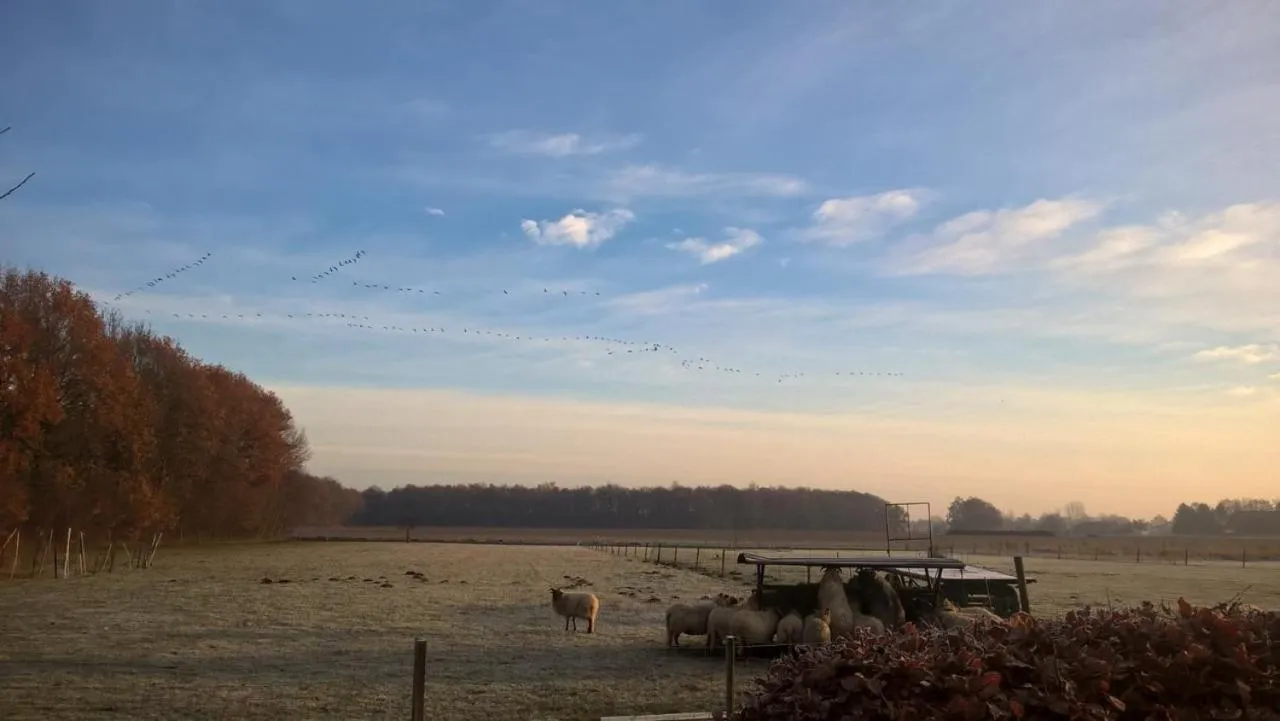 Property building in boerderijkamer Korenbloem