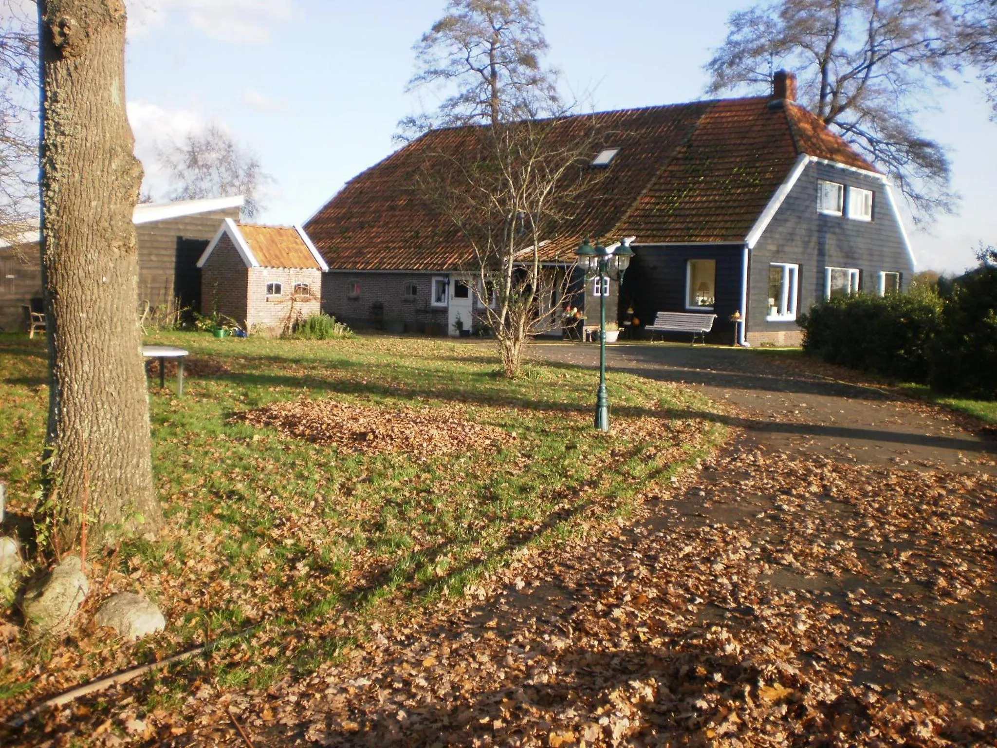 boerderijkamer Korenbloem