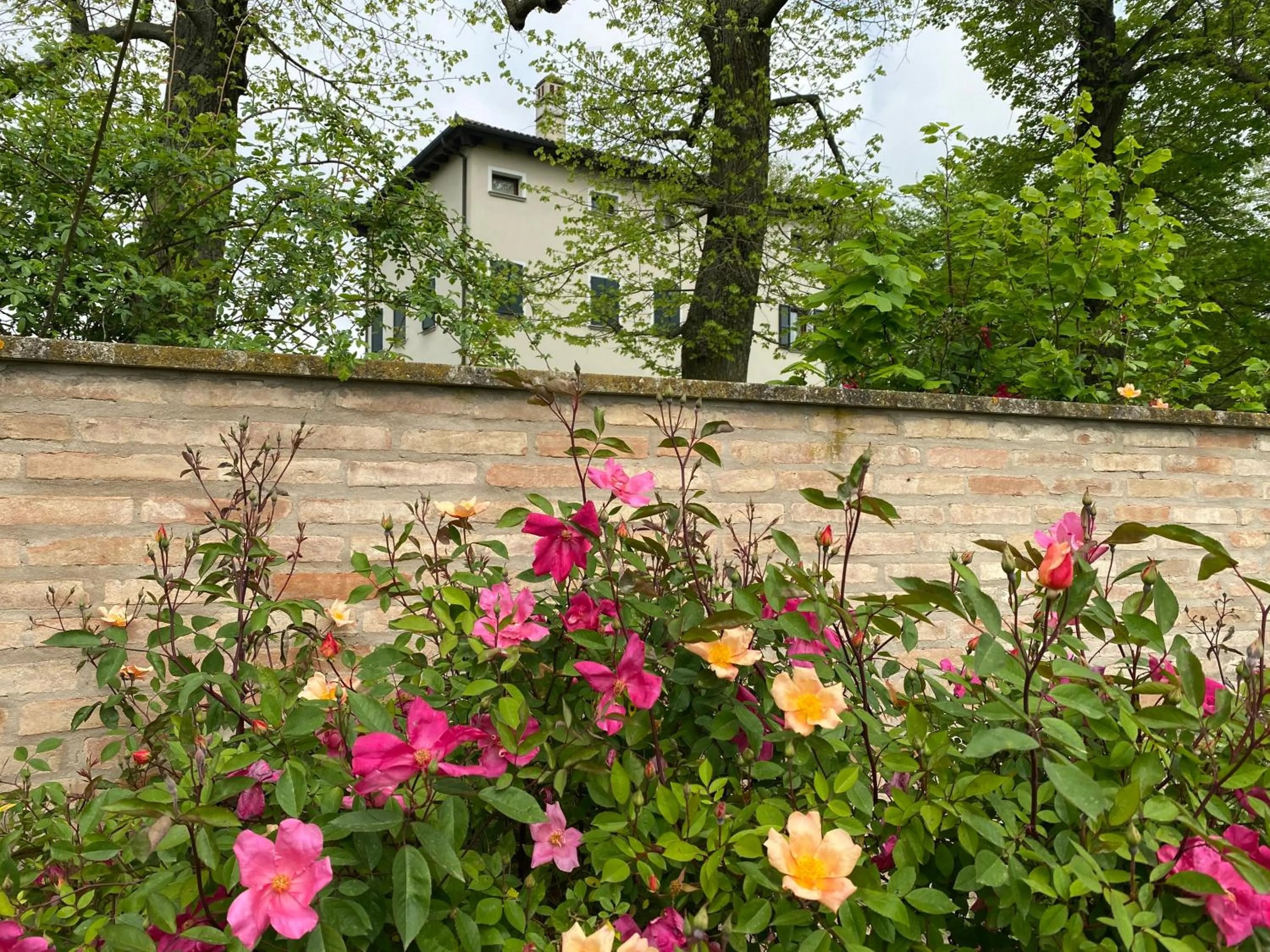 Property building in Monteborre