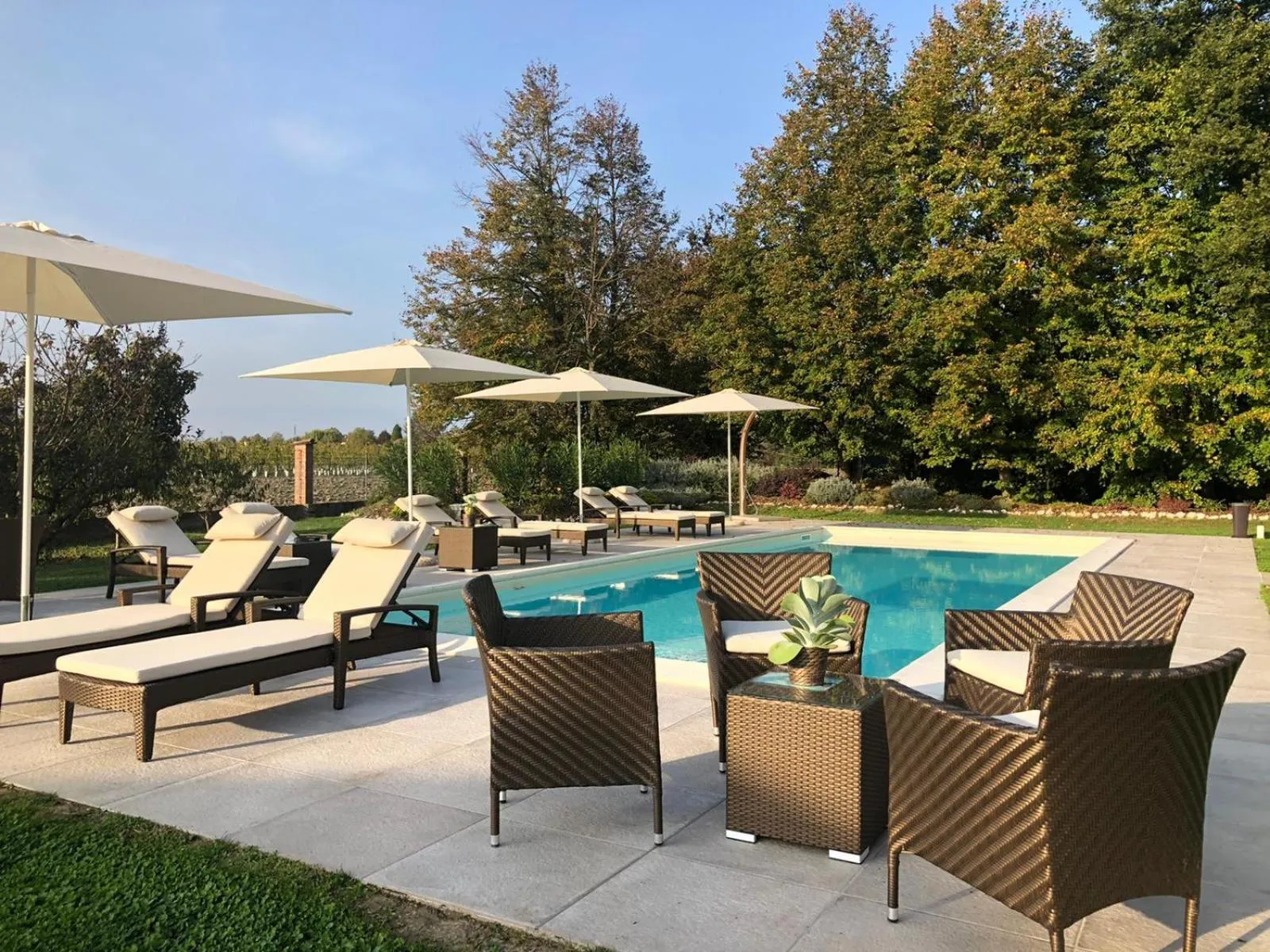 Swimming pool in Monteborre