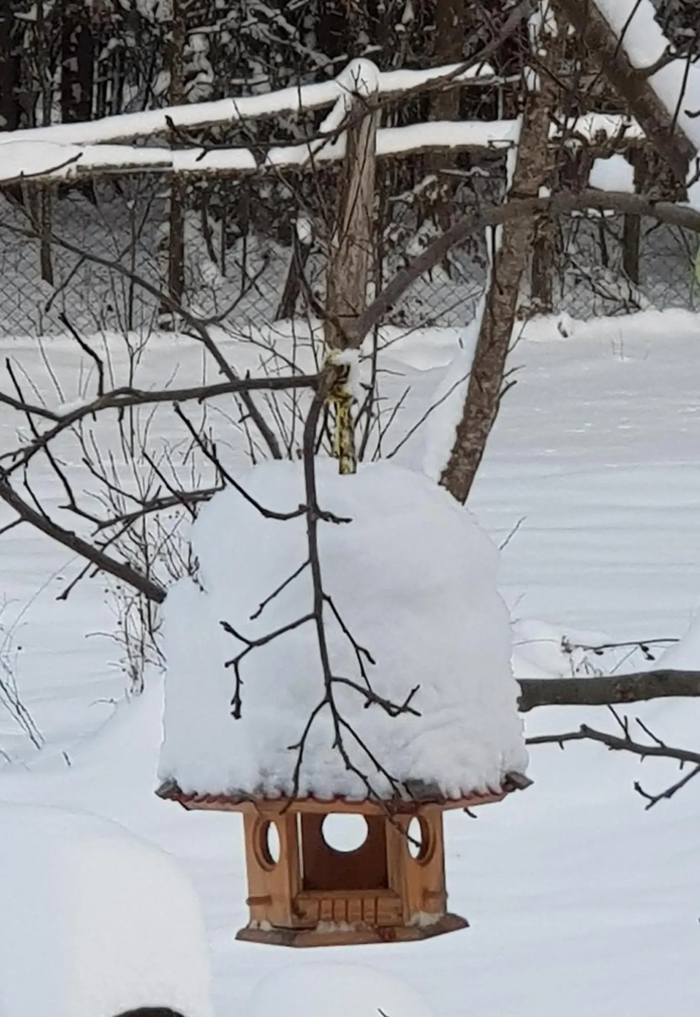 Winter in Białowieska Leśniczówka "U Jasia i Małgosi"