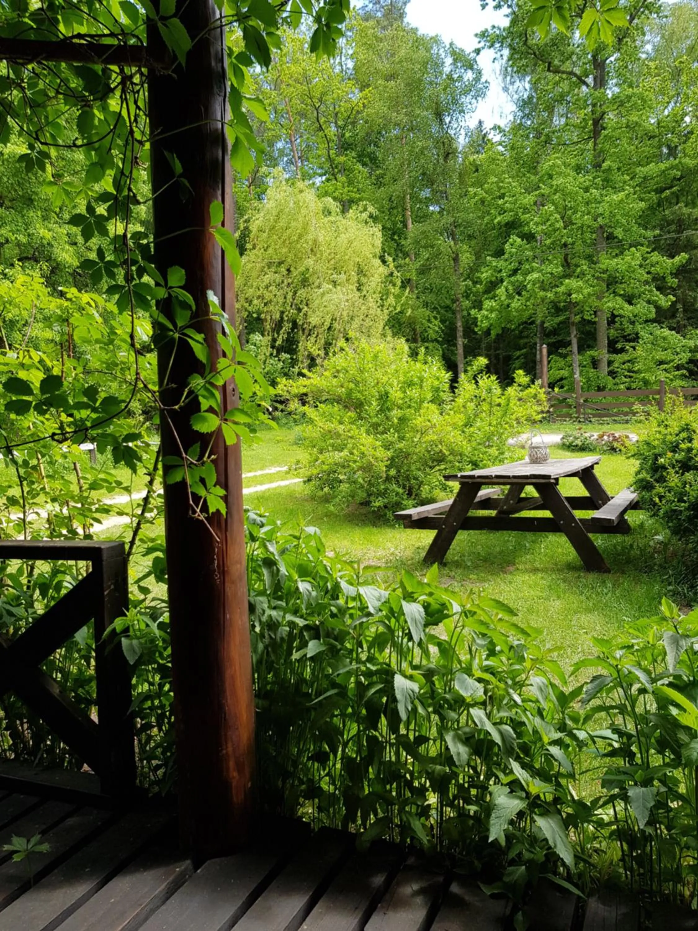 Spring in Białowieska Leśniczówka "U Jasia i Małgosi"