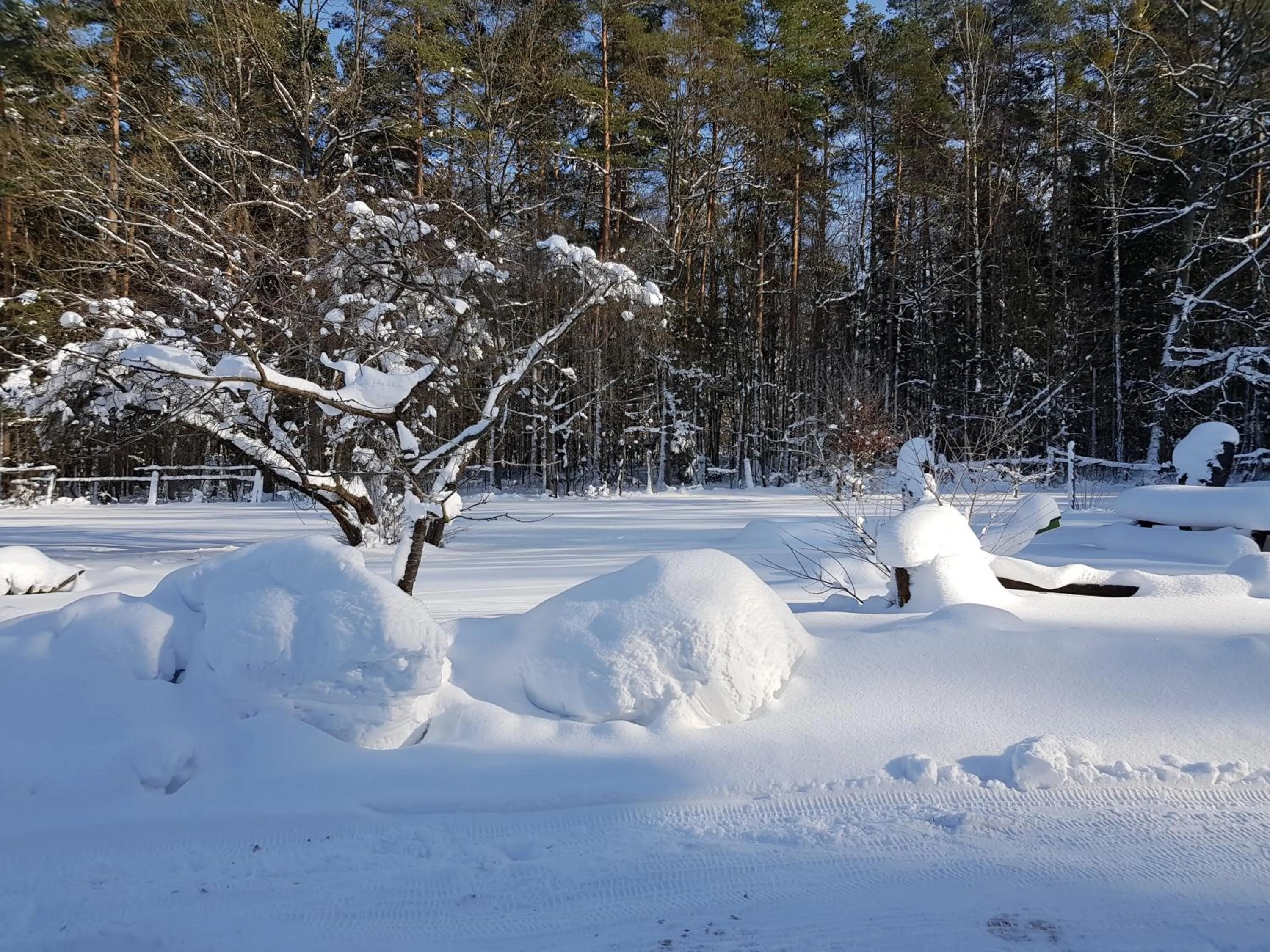 Winter in Białowieska Leśniczówka "U Jasia i Małgosi"
