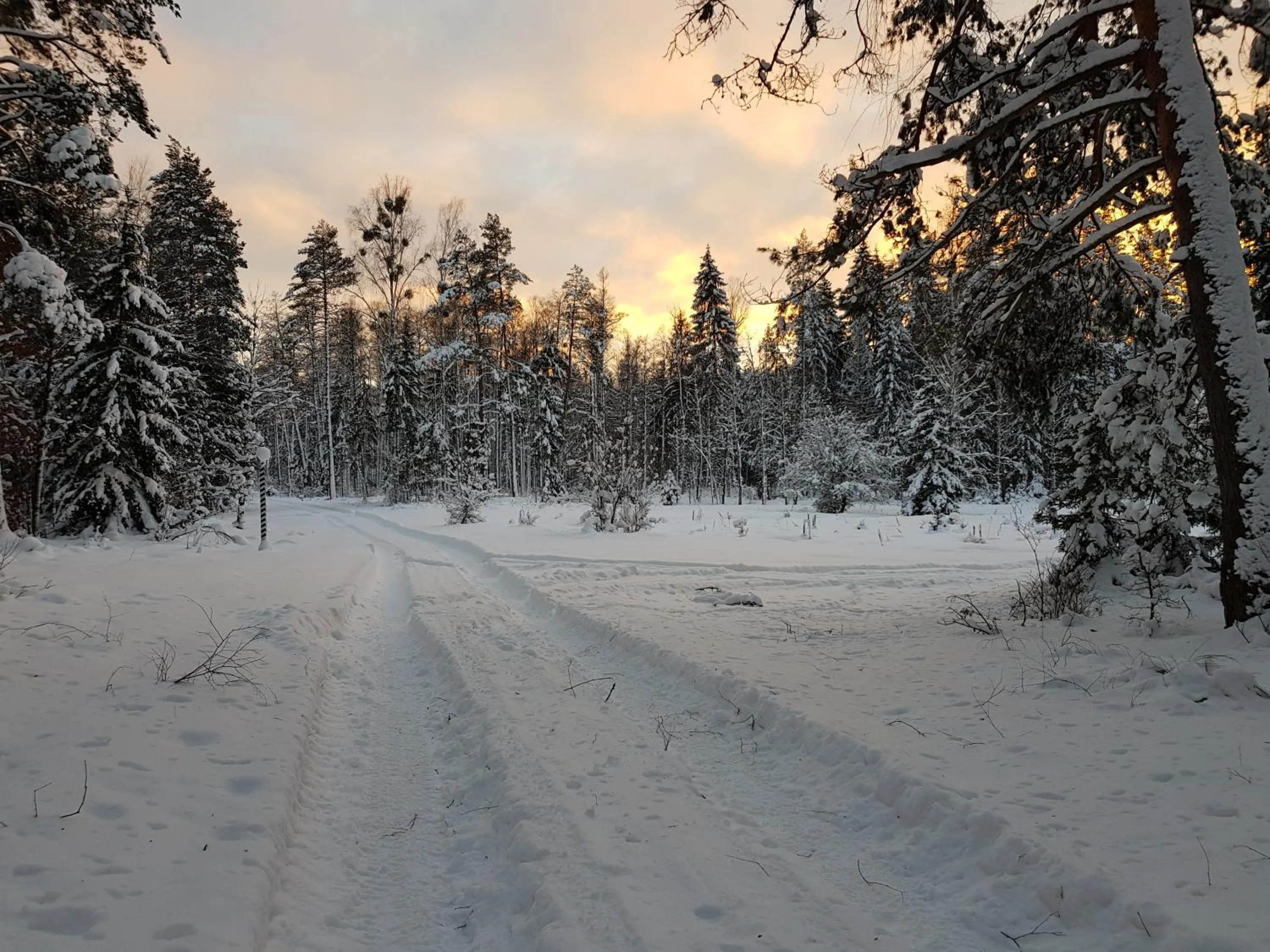 Natural landscape in Białowieska Leśniczówka "U Jasia i Małgosi"