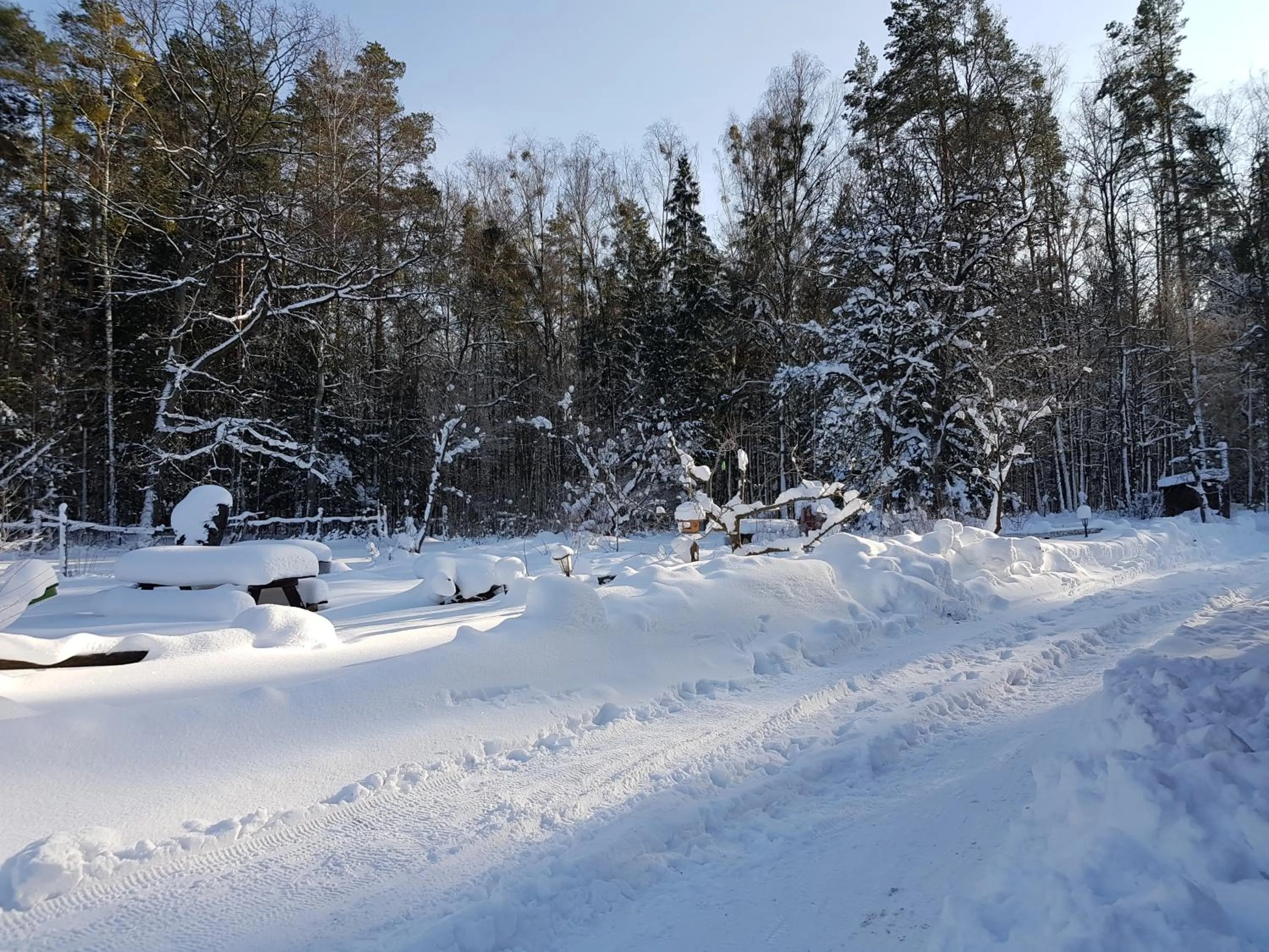 Winter in Białowieska Leśniczówka "U Jasia i Małgosi"