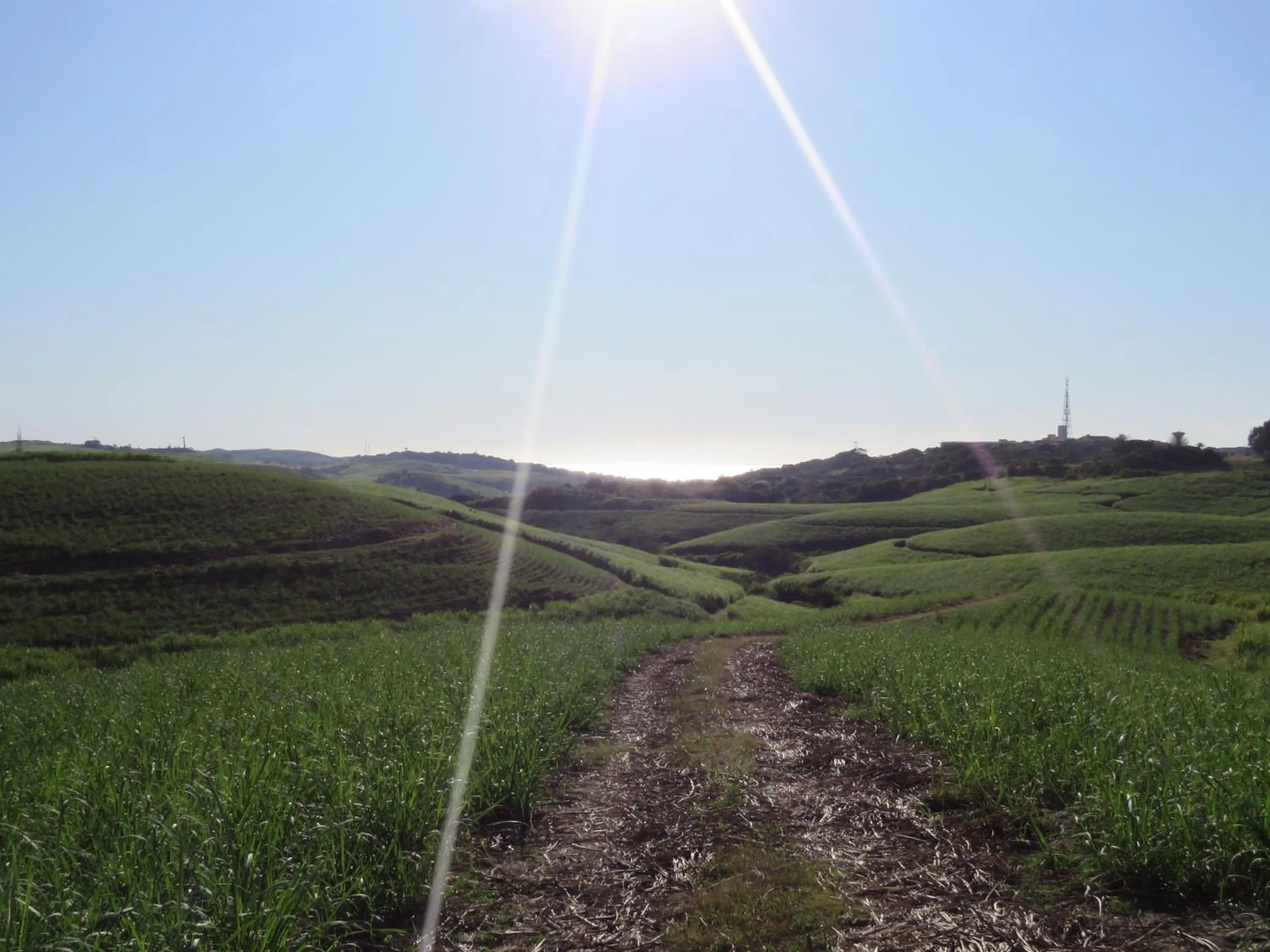 Hiking in Bare Feet Retreat B&B
