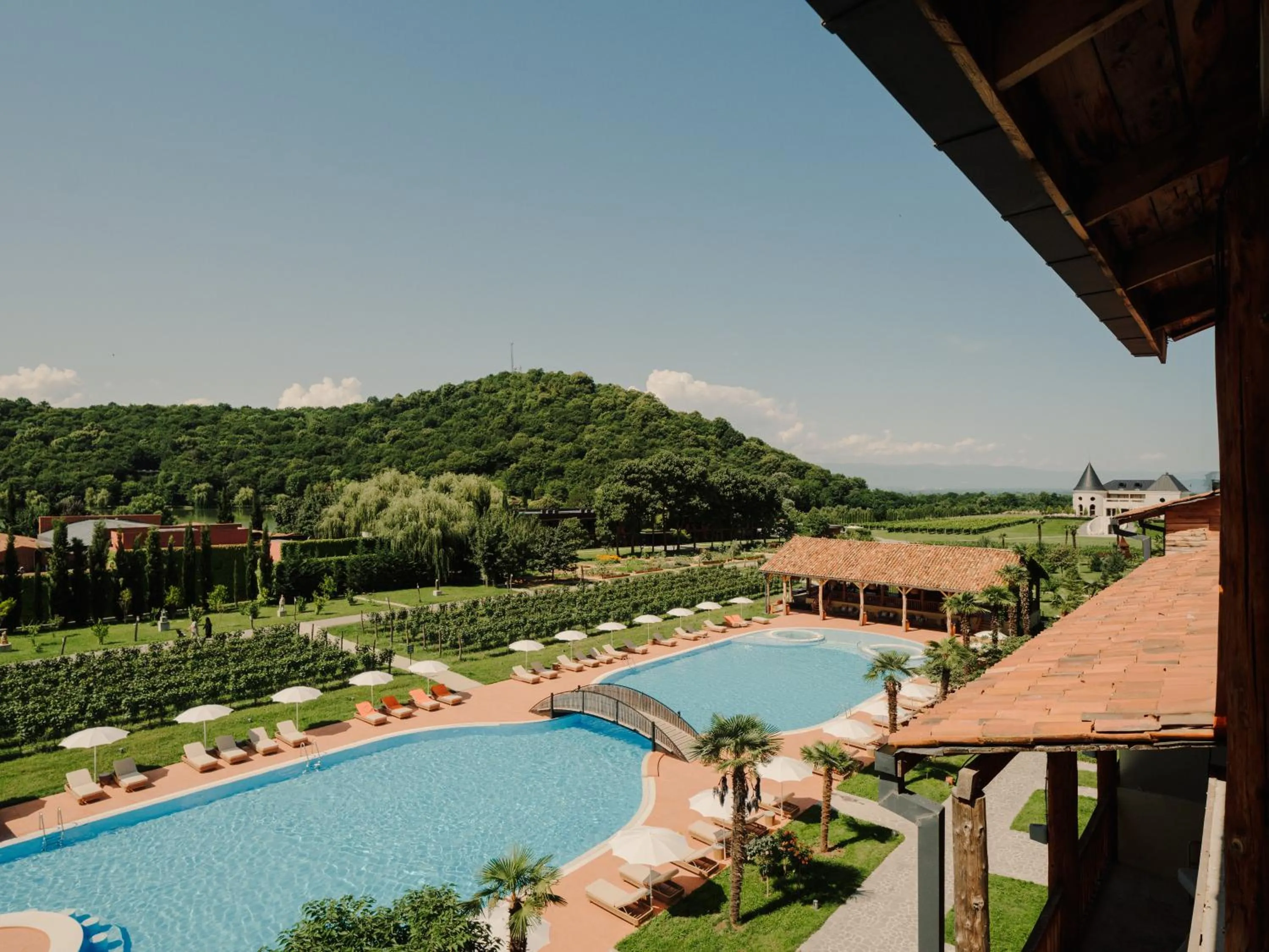 View (from property/room) in Lopota Lake Resort & Spa