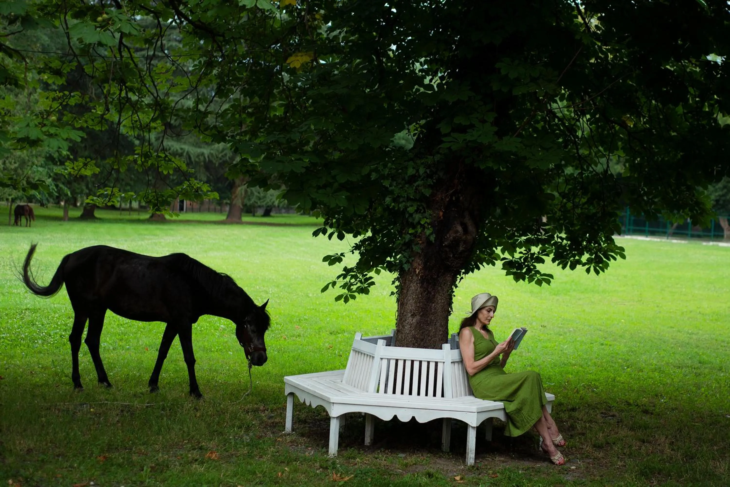 Summer in Lopota Lake Resort & Spa