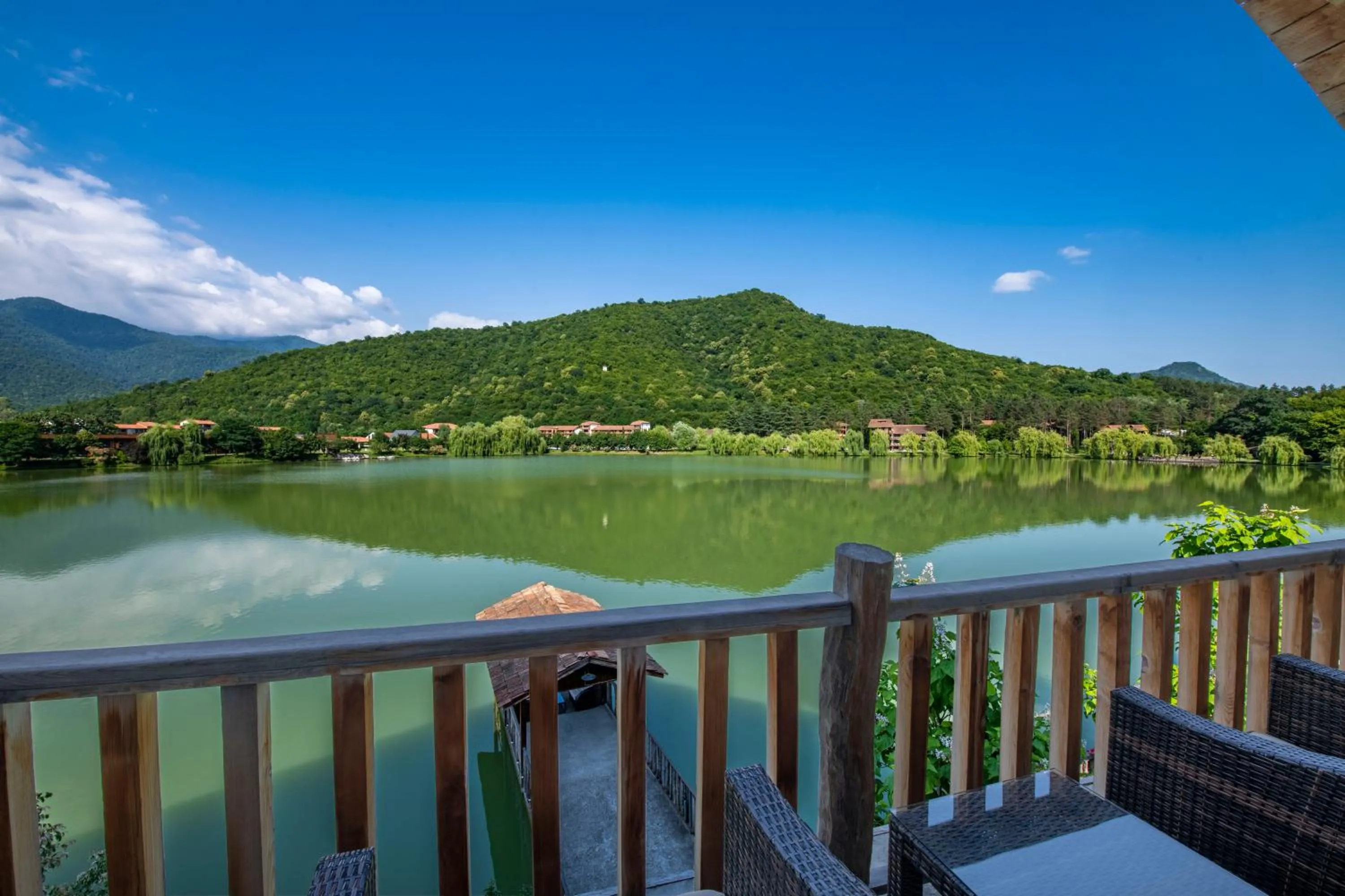 View (from property/room) in Lopota Lake Resort & Spa