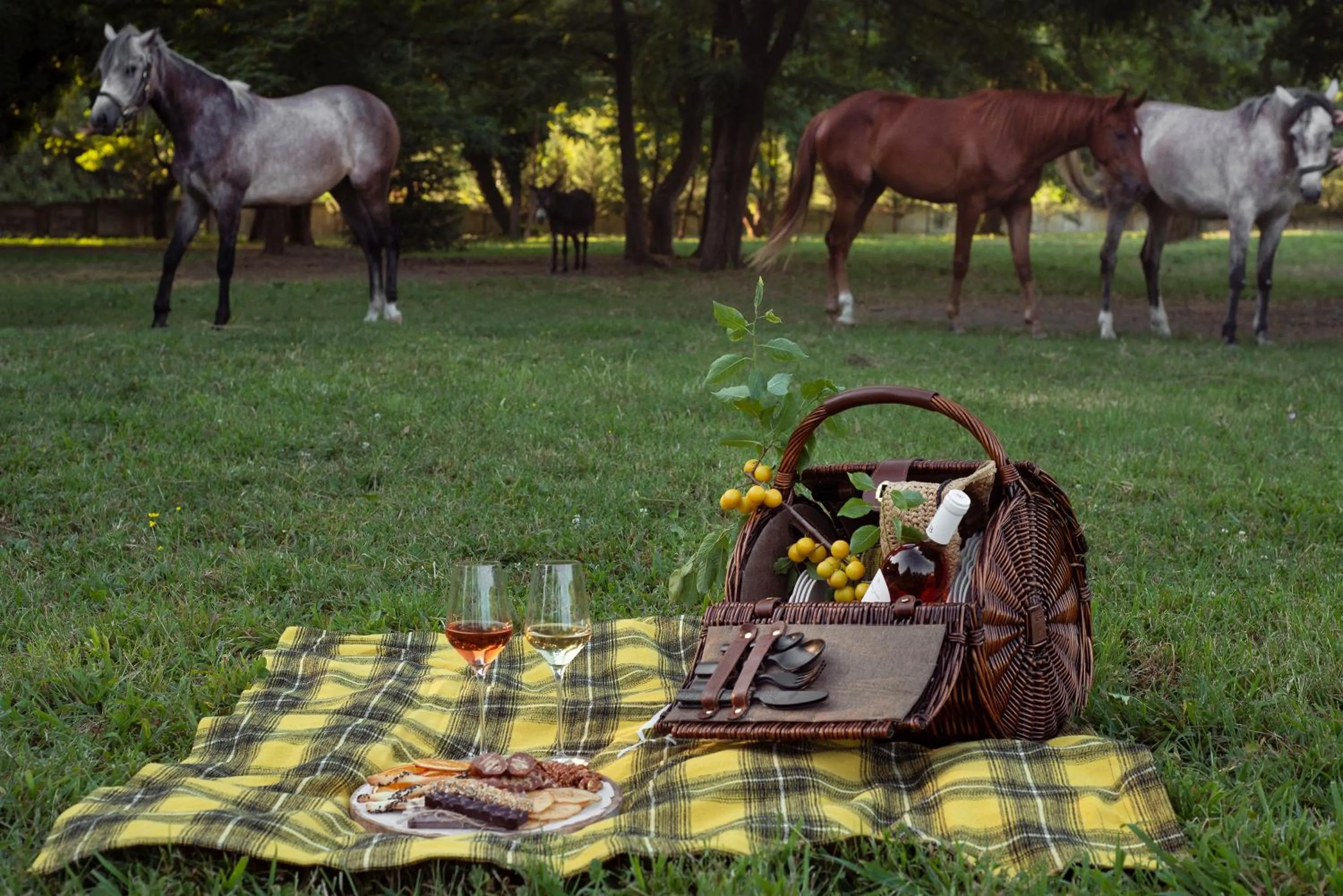 Activities in Lopota Lake Resort & Spa