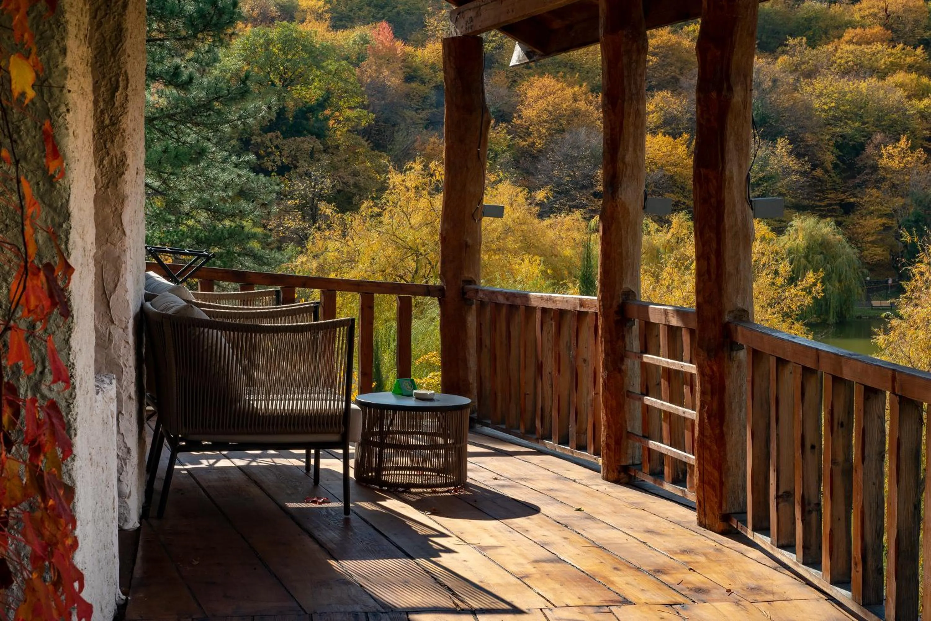 View (from property/room) in Lopota Lake Resort & Spa