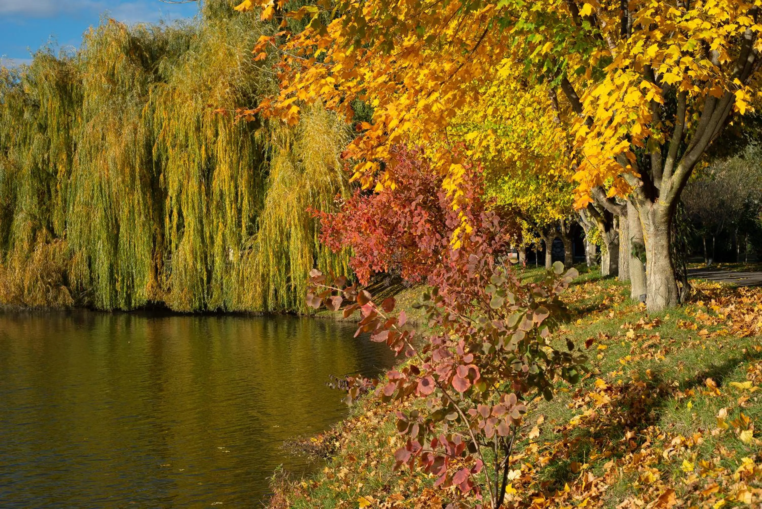 View (from property/room) in Lopota Lake Resort & Spa