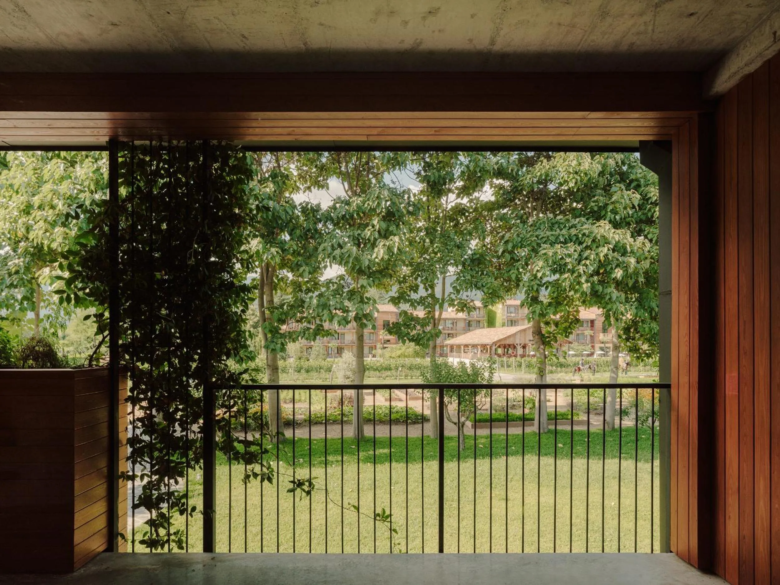 View (from property/room) in Lopota Lake Resort & Spa