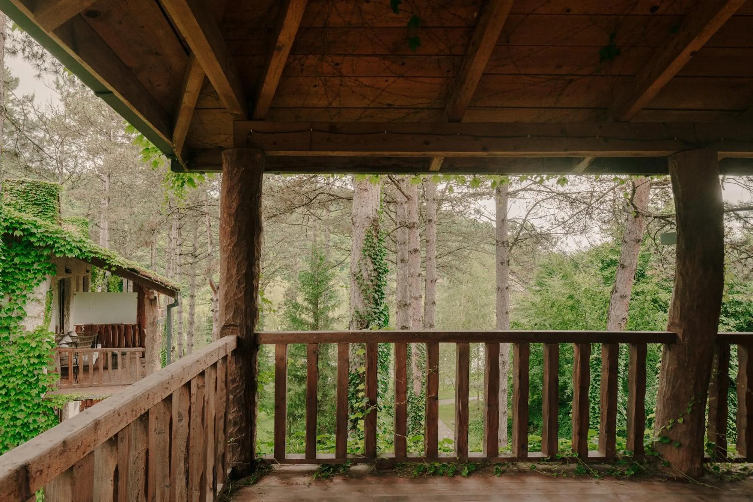 View (from property/room) in Lopota Lake Resort & Spa