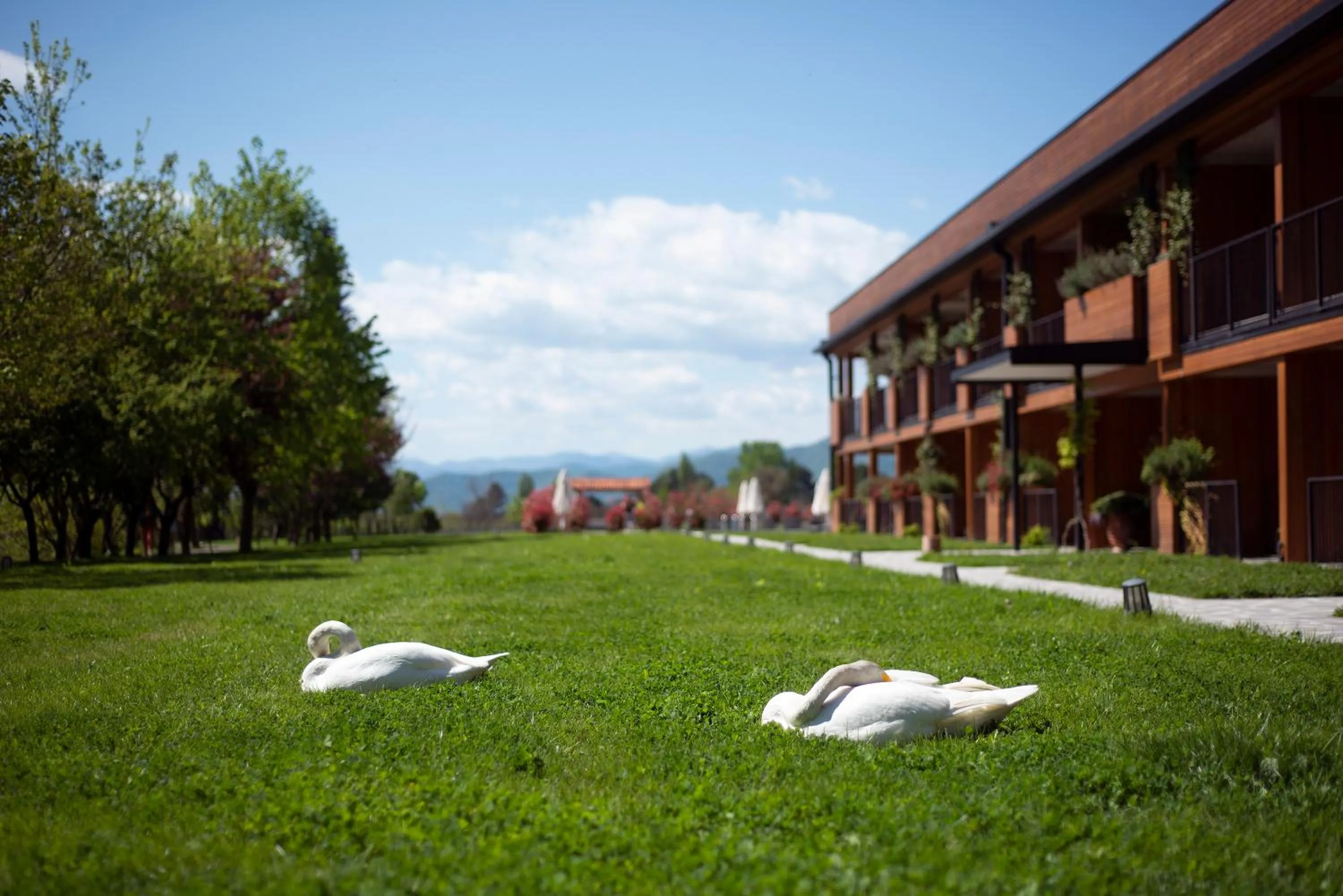 Property building in Lopota Lake Resort & Spa