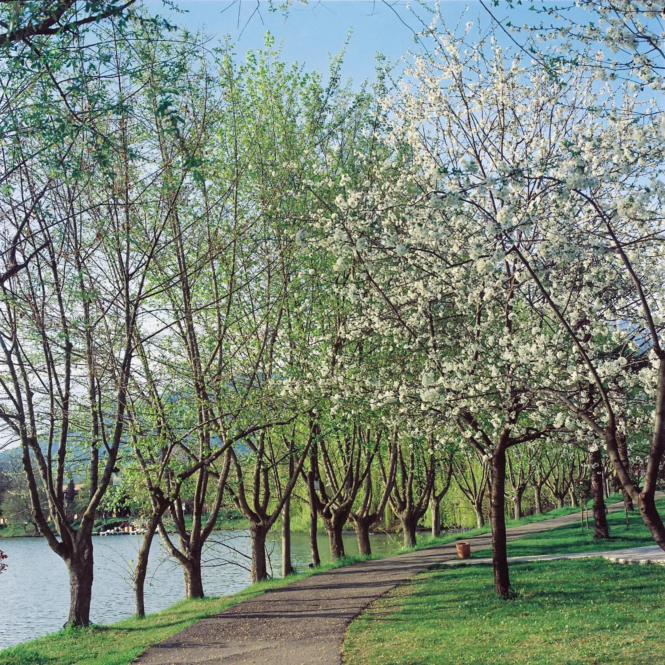 Spring in Lopota Lake Resort & Spa