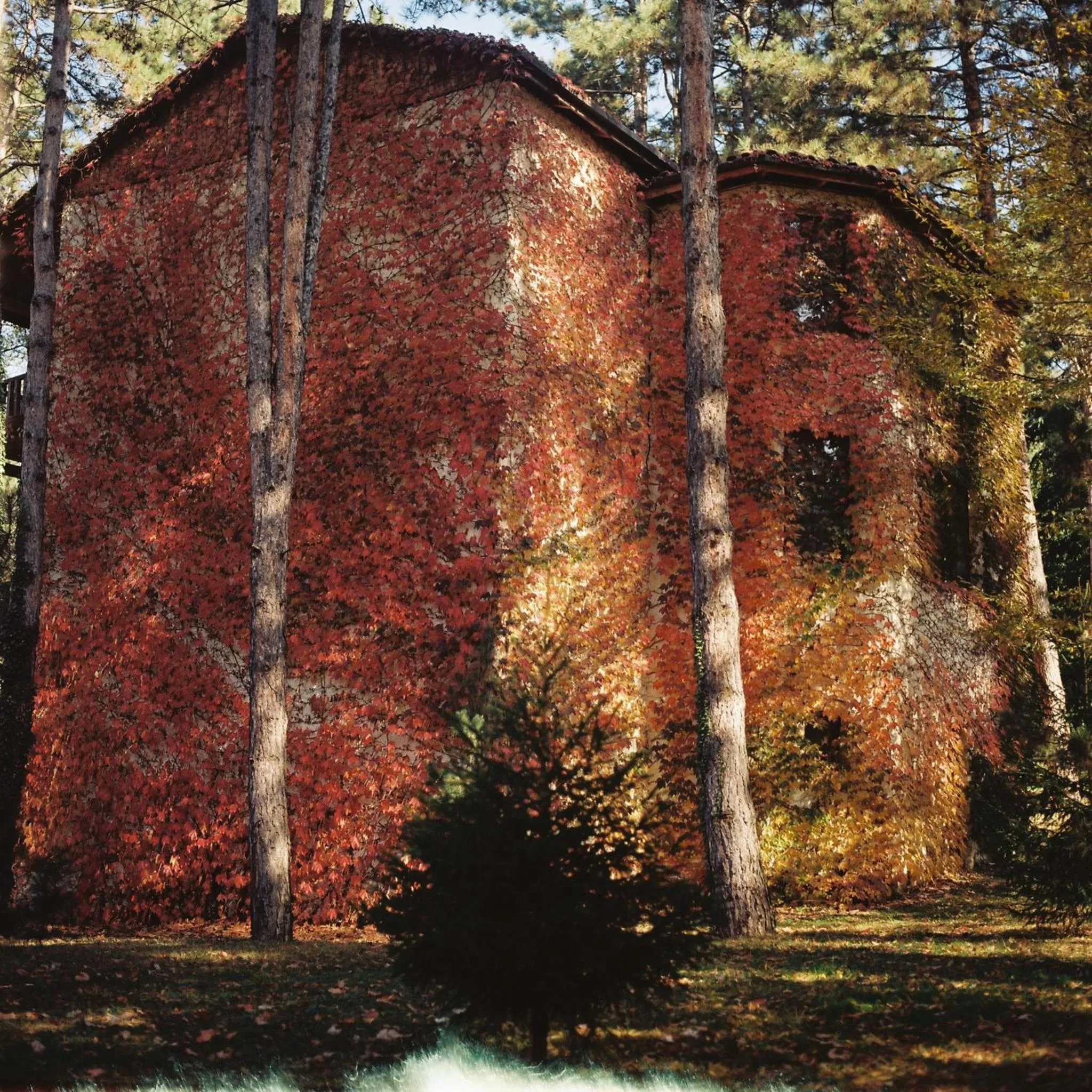 Natural landscape in Lopota Lake Resort & Spa