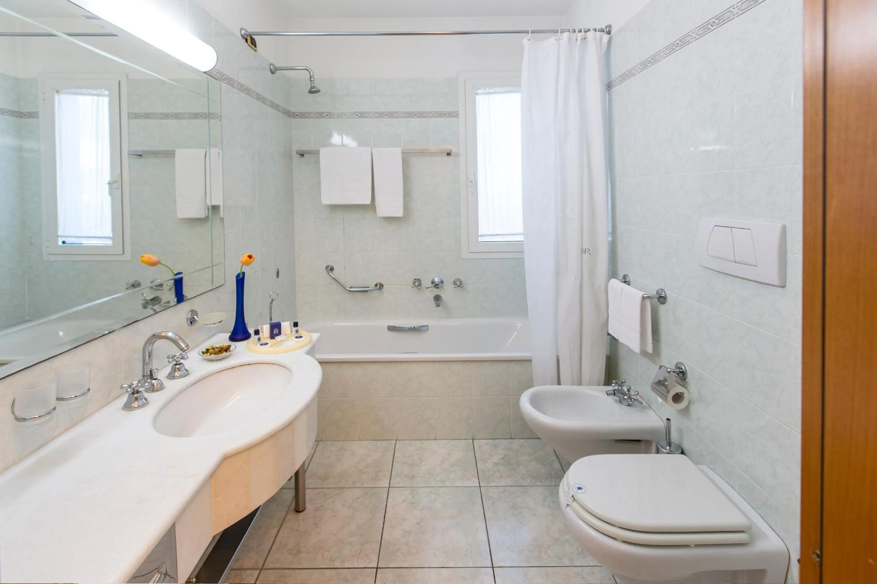 Toilet in Hotel Ambassador