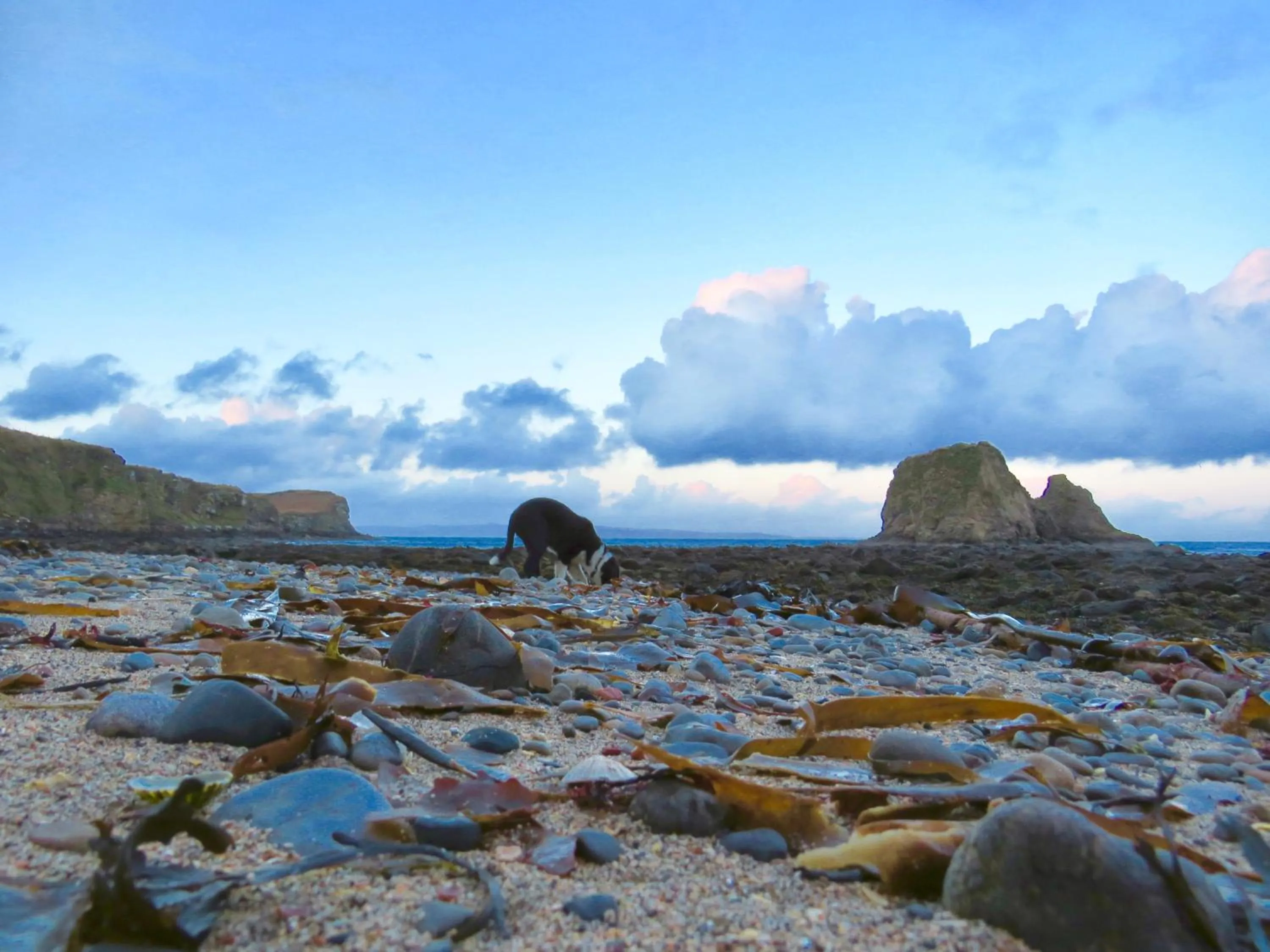 Beach in Windhaven Camping and B&B