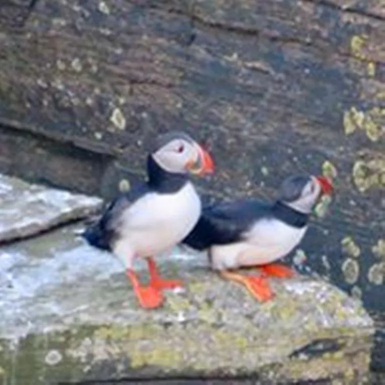 Windhaven Camping and B&B