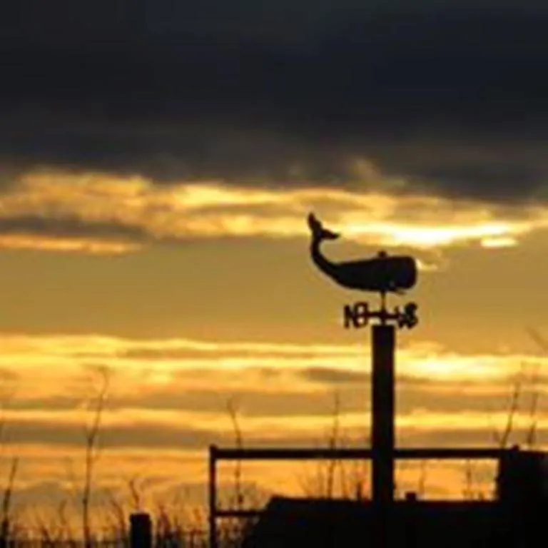 Windhaven Camping and B&B