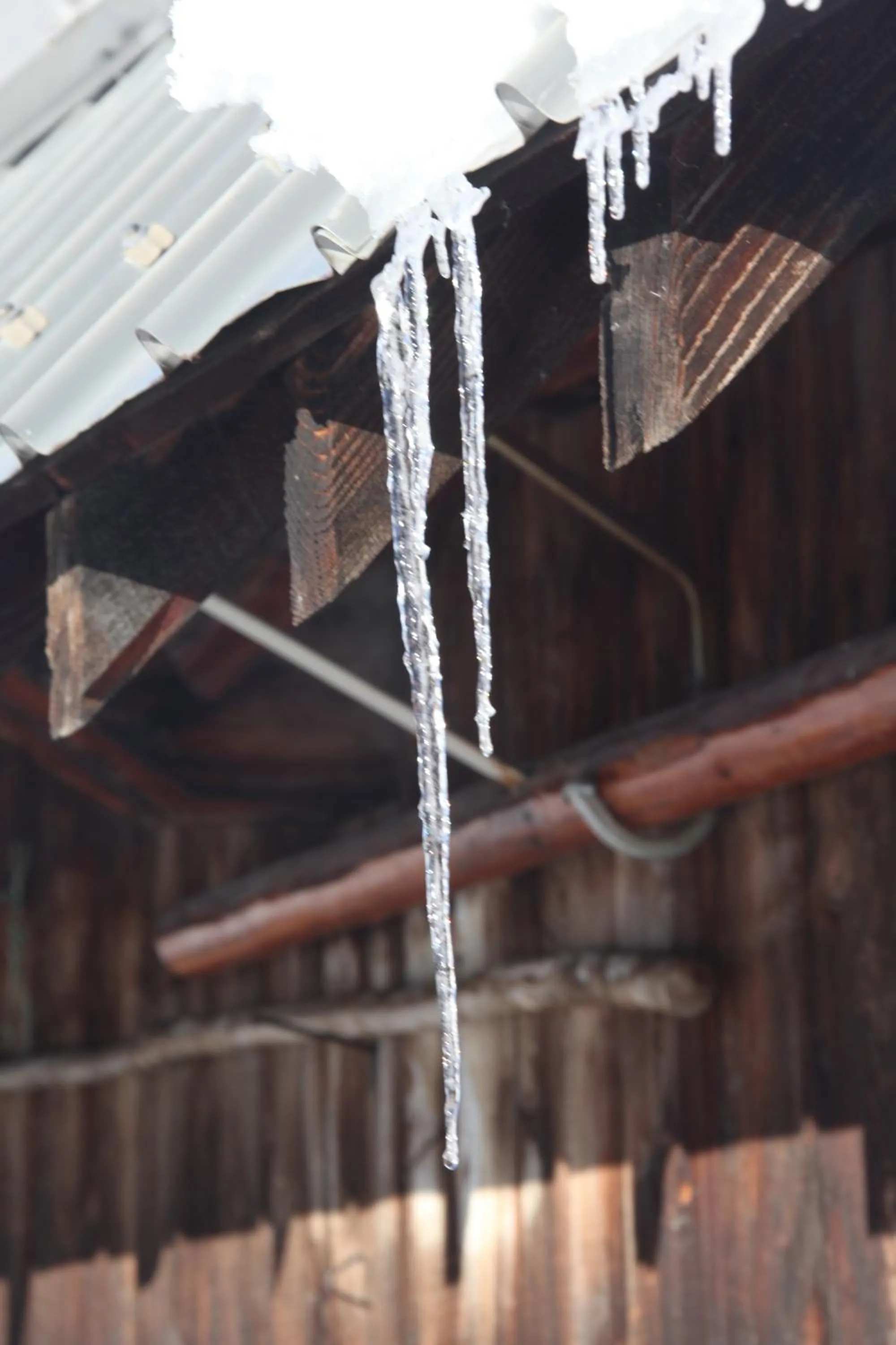 Natural landscape in Chalet-Hôtel Le Beausoleil, The Originals Relais