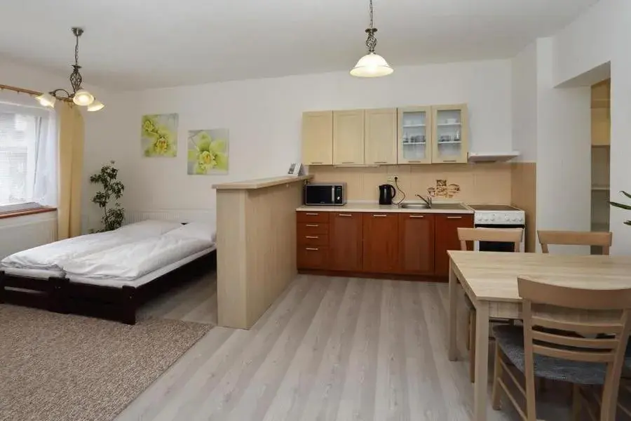 Studio - single occupancy in Aparthotel Brokeš Studio - single occupancy in Aparthotel Brokeš