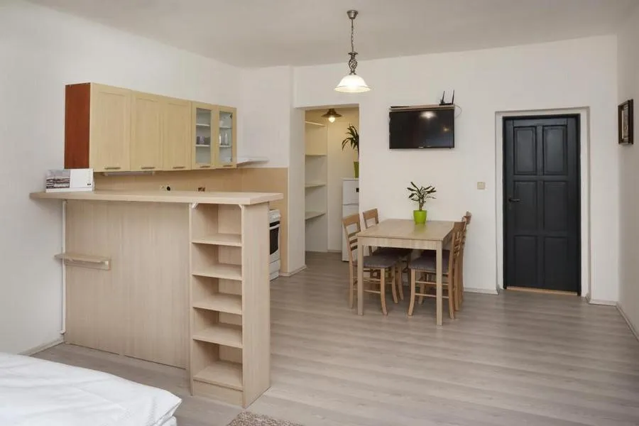 Kitchen or kitchenette in Aparthotel Brokeš