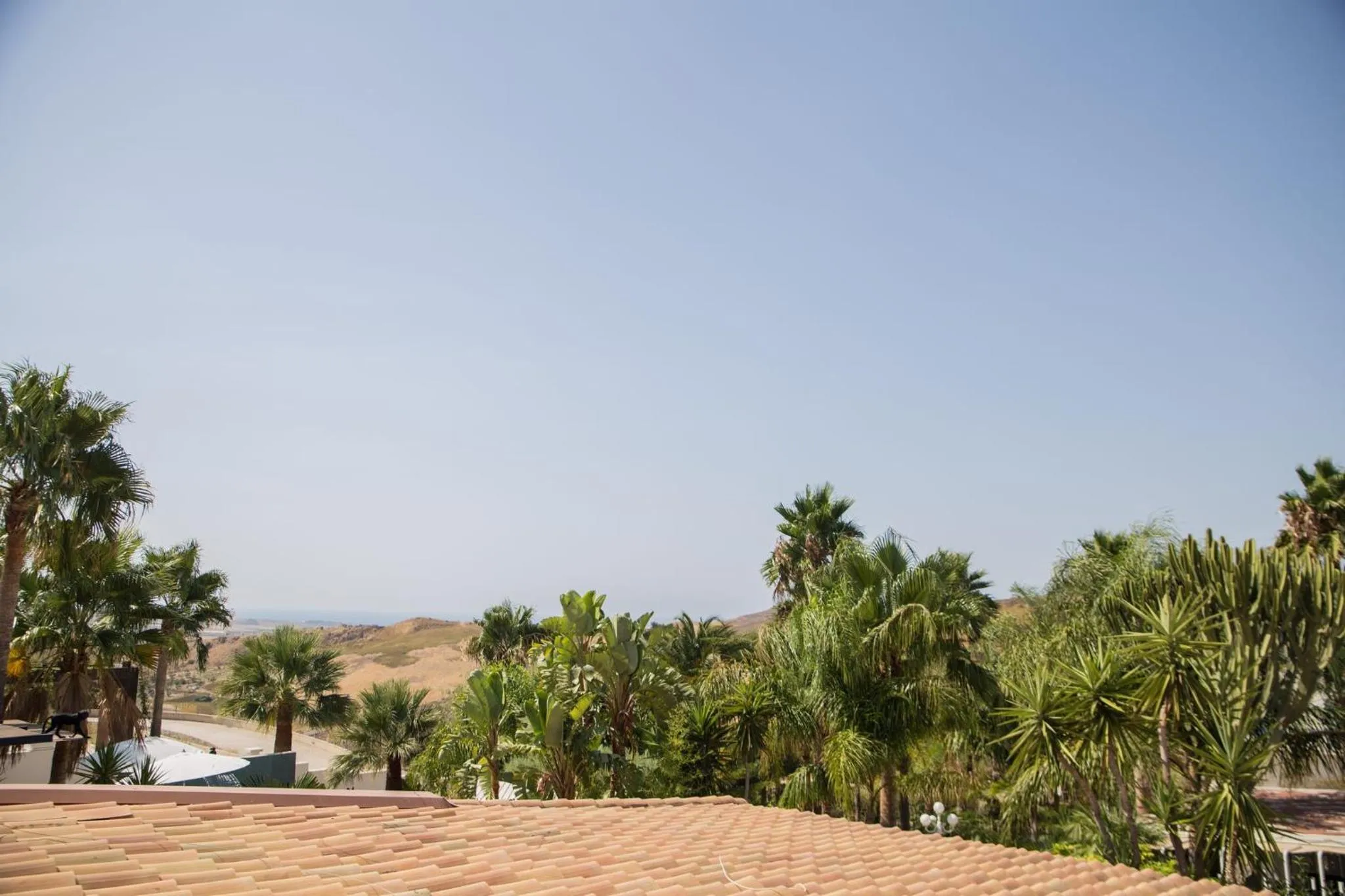 Garden in Diodorus Luxury Experience