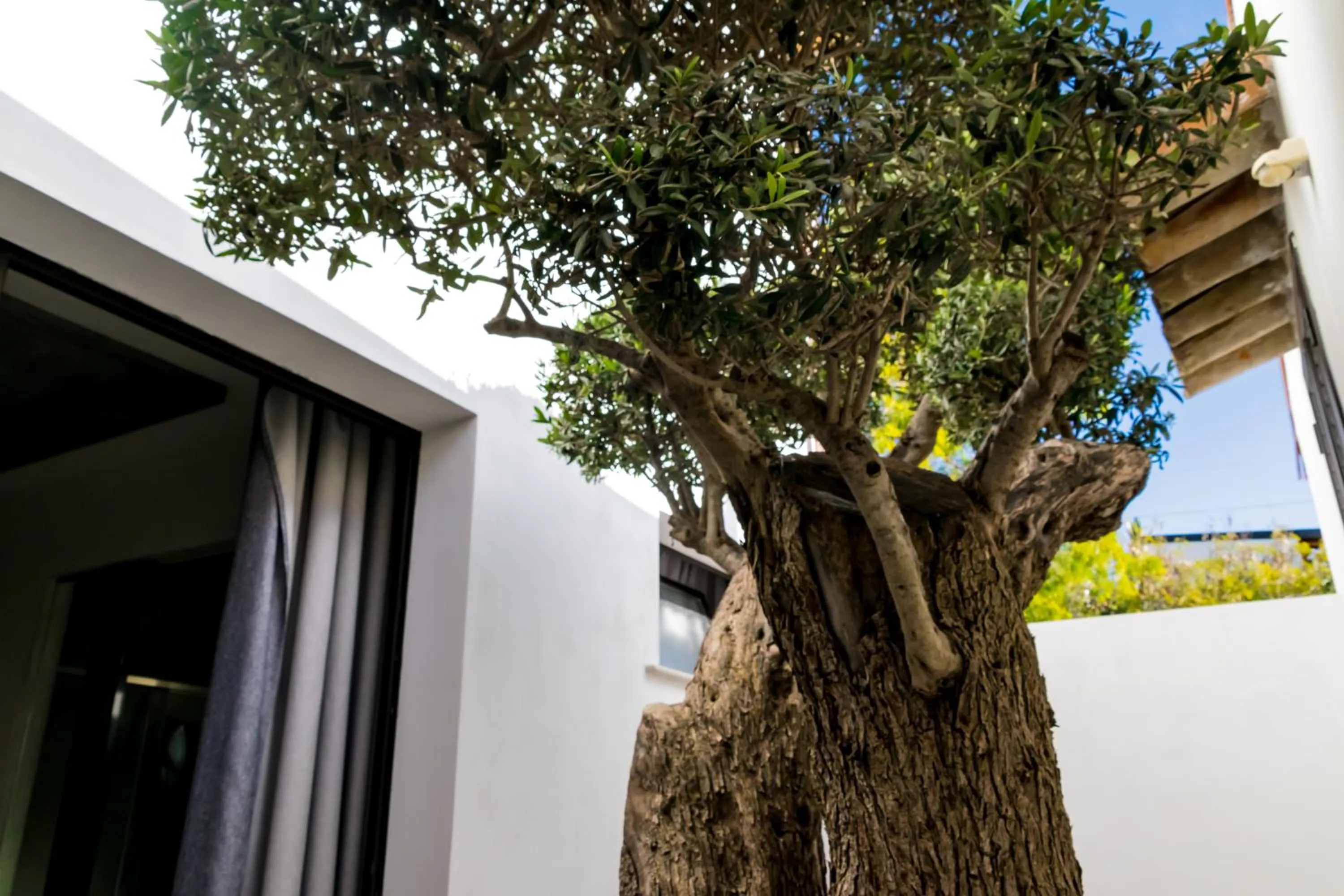 Photo of the whole room in Diodorus Luxury Experience