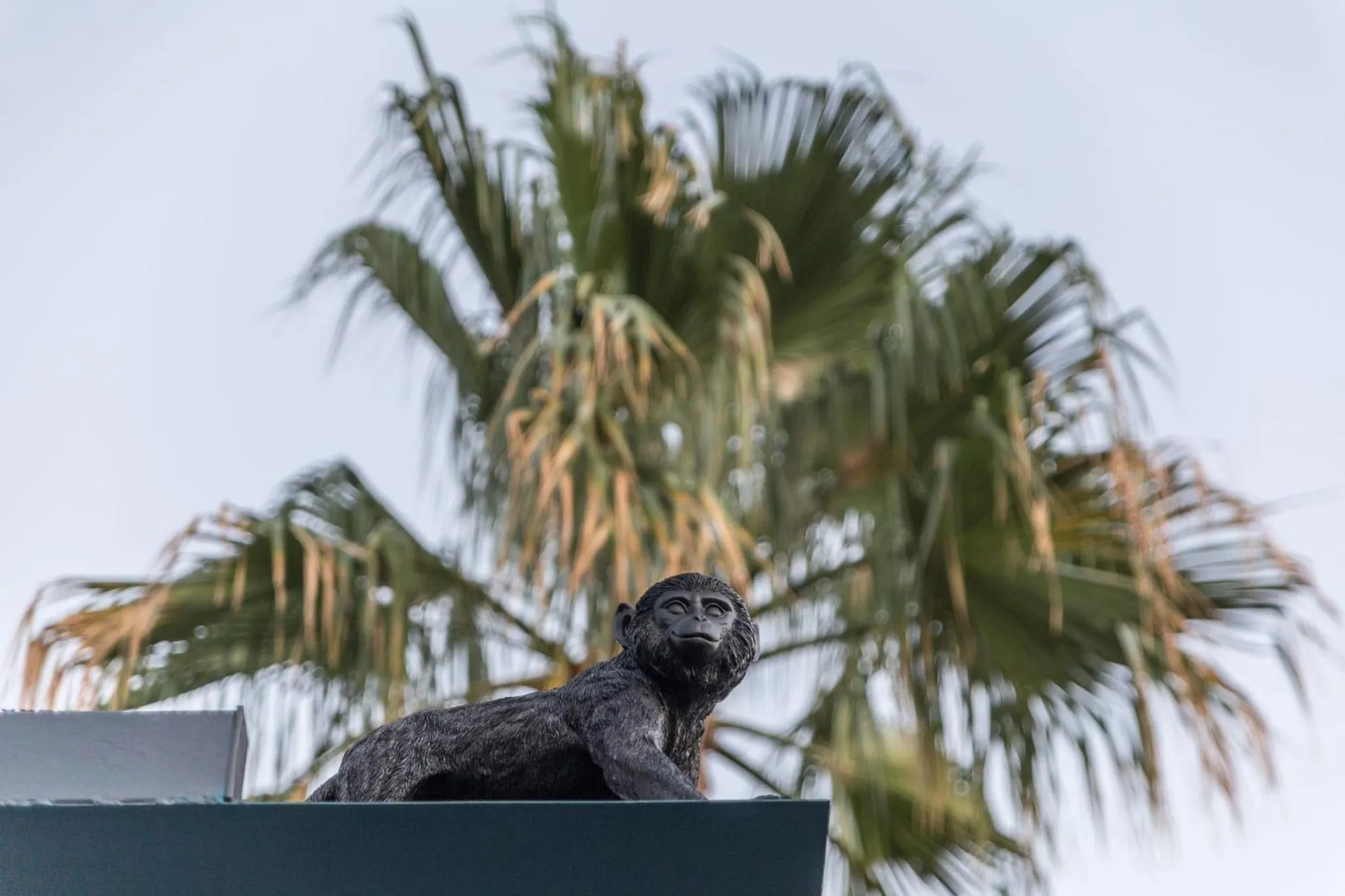 Decorative detail in Diodorus Luxury Experience