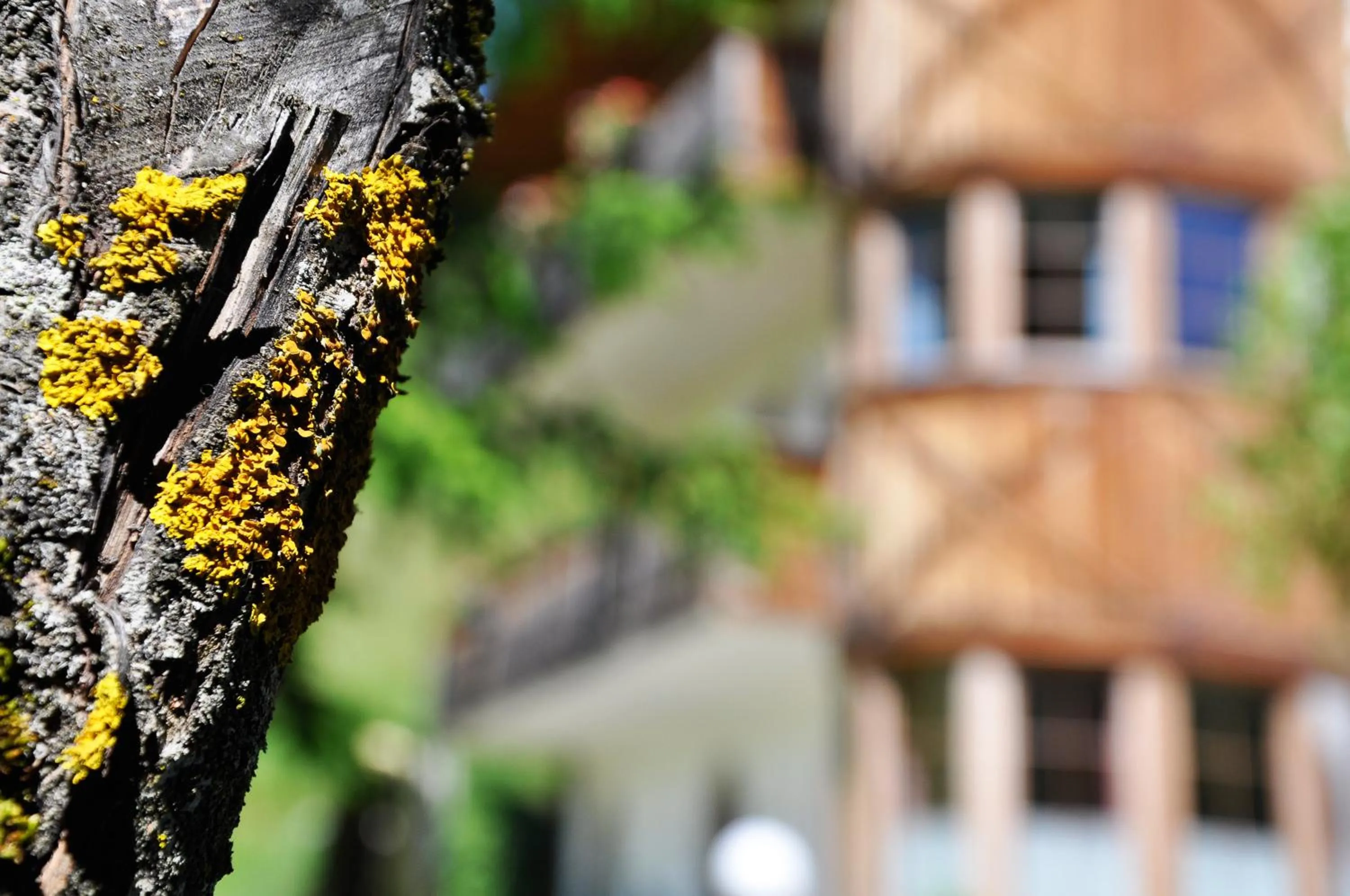 Other in Pension Rungg