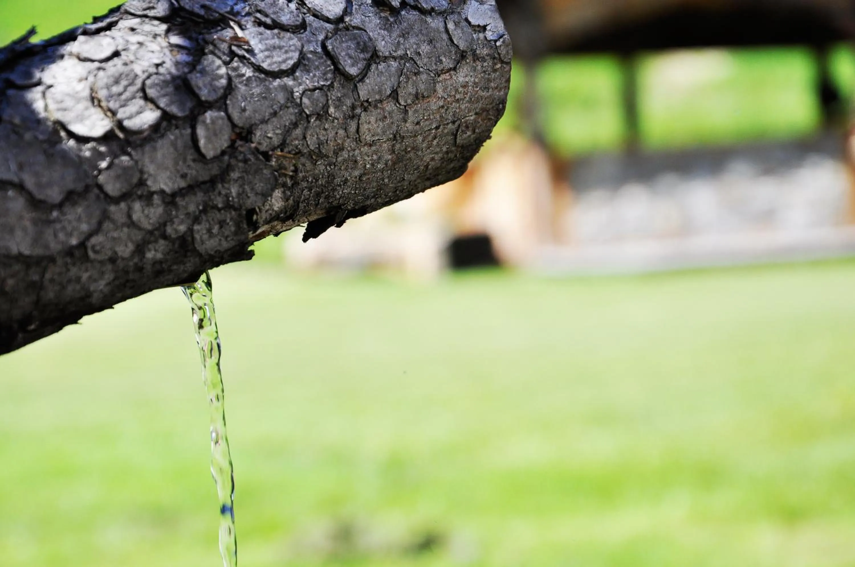 Other in Pension Rungg