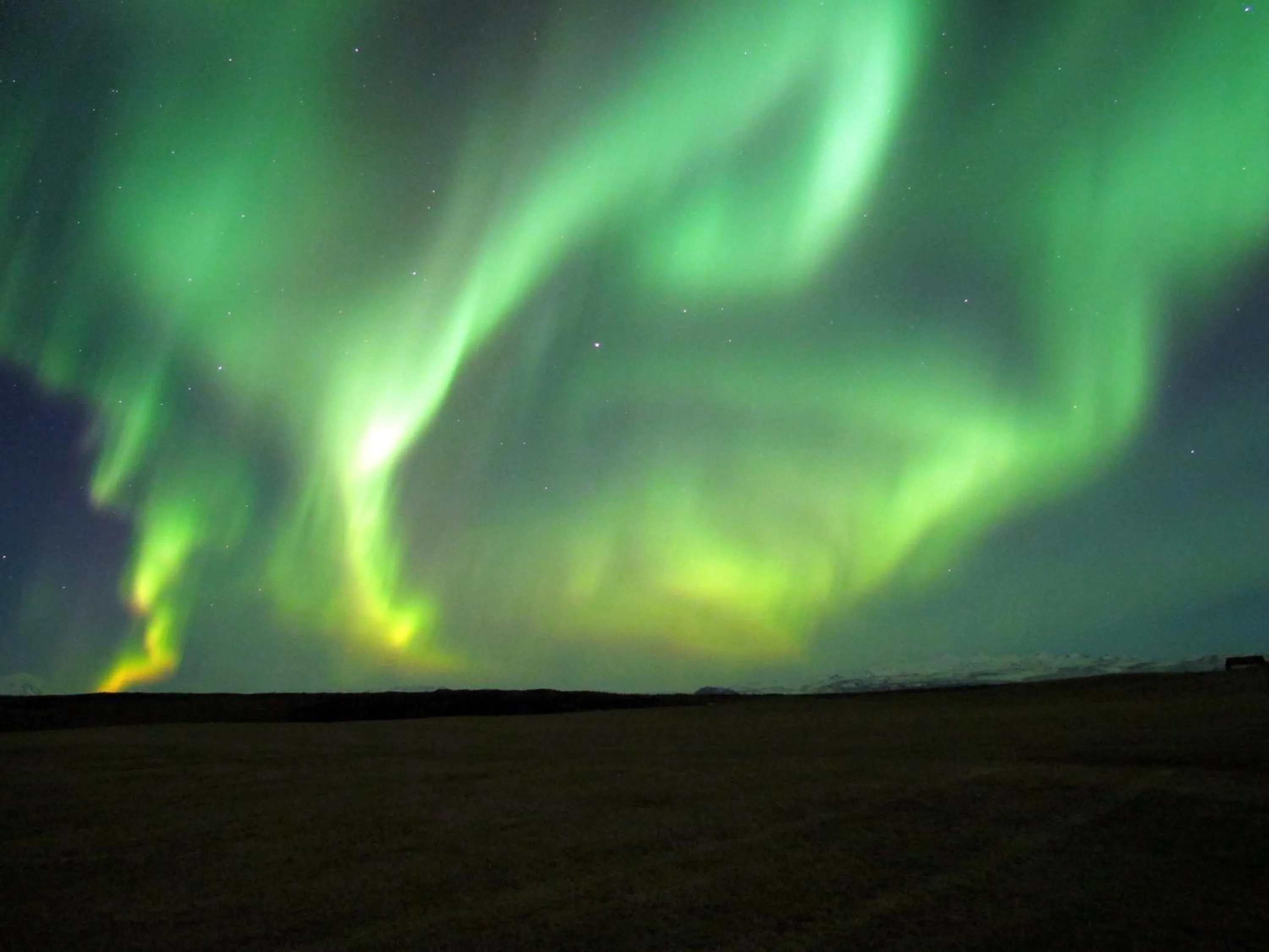 Area and facilities in Hótel Lækur