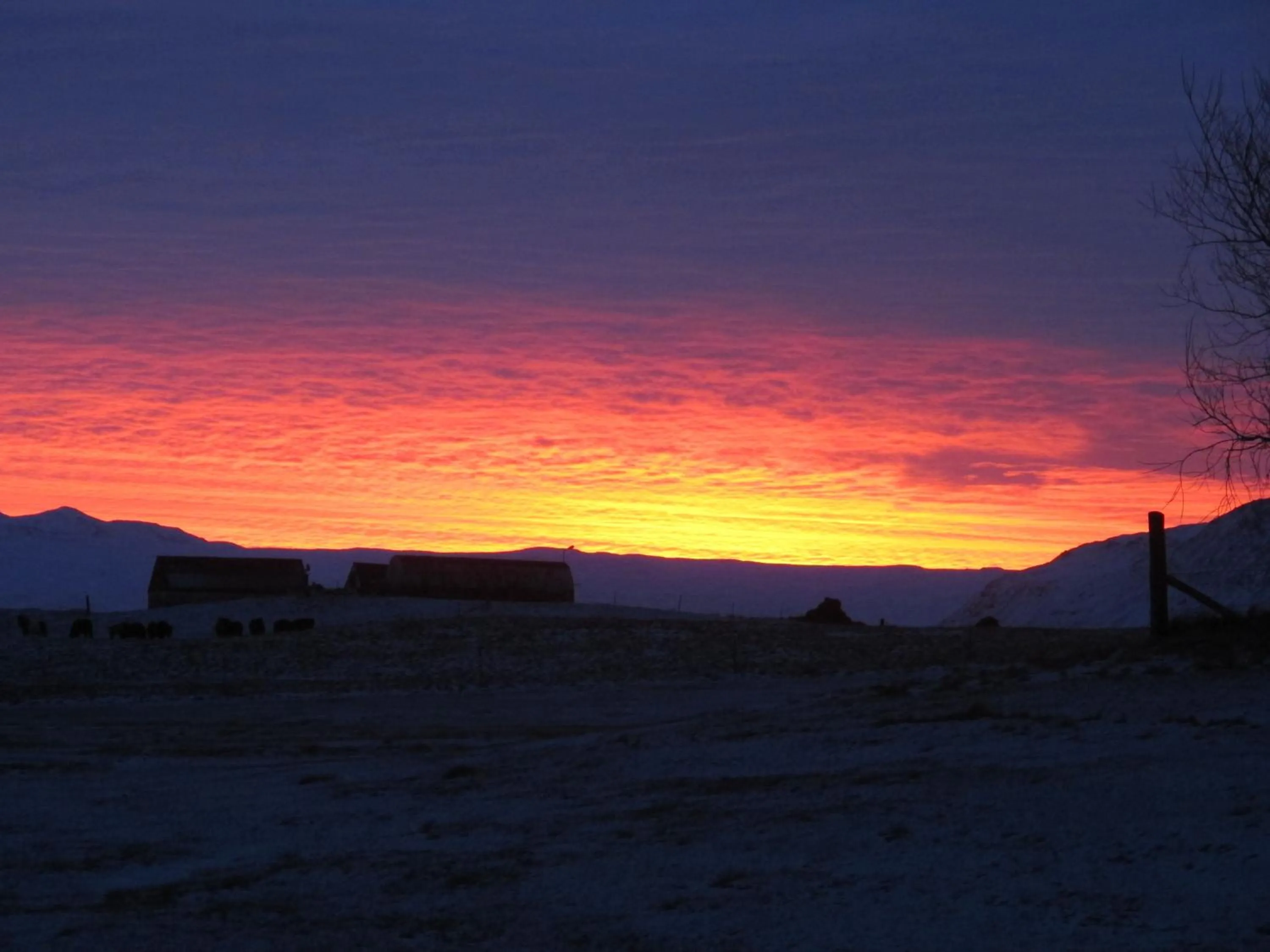Area and facilities in Hótel Lækur