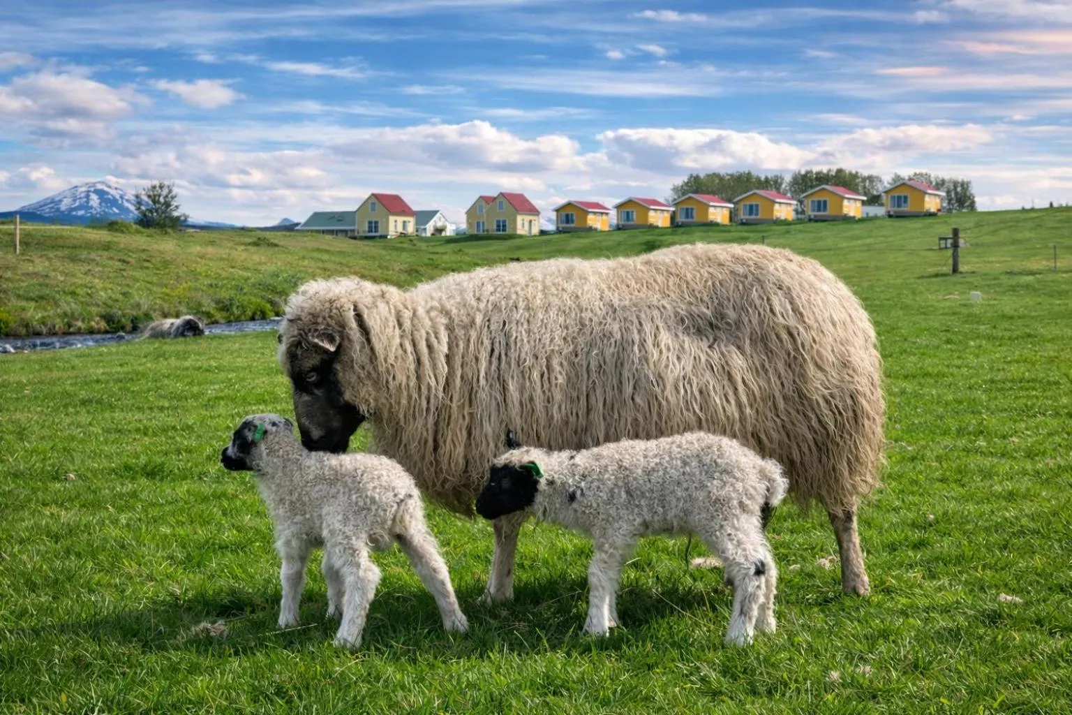 Day in Hótel Lækur