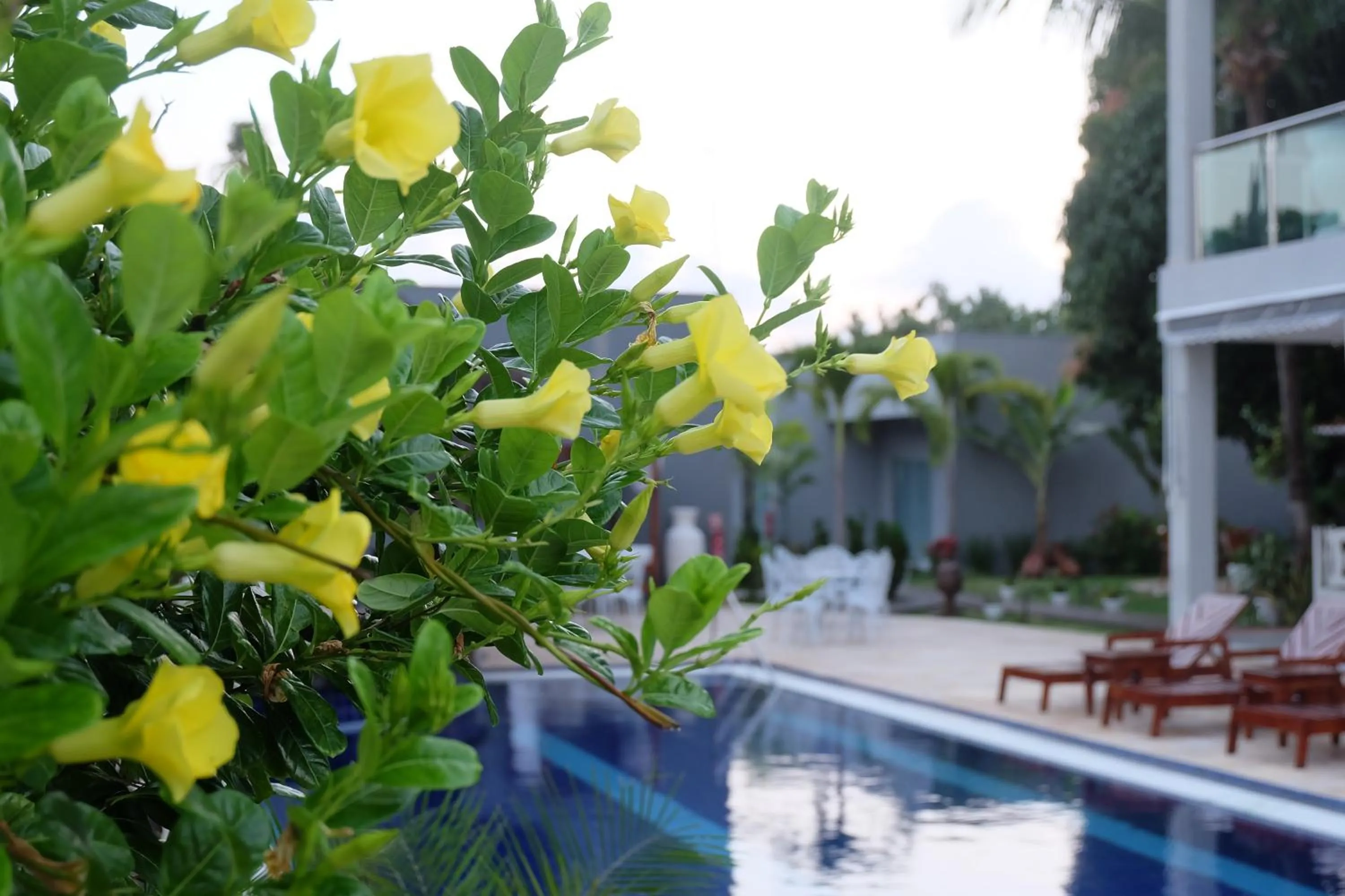 Property building in Relais de Charme Boutique Hotel Pititinga