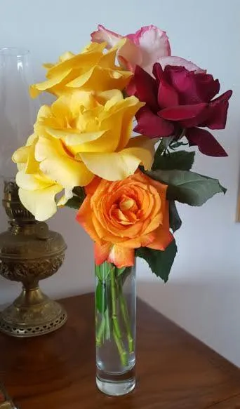 Kingna Lodge Montagu