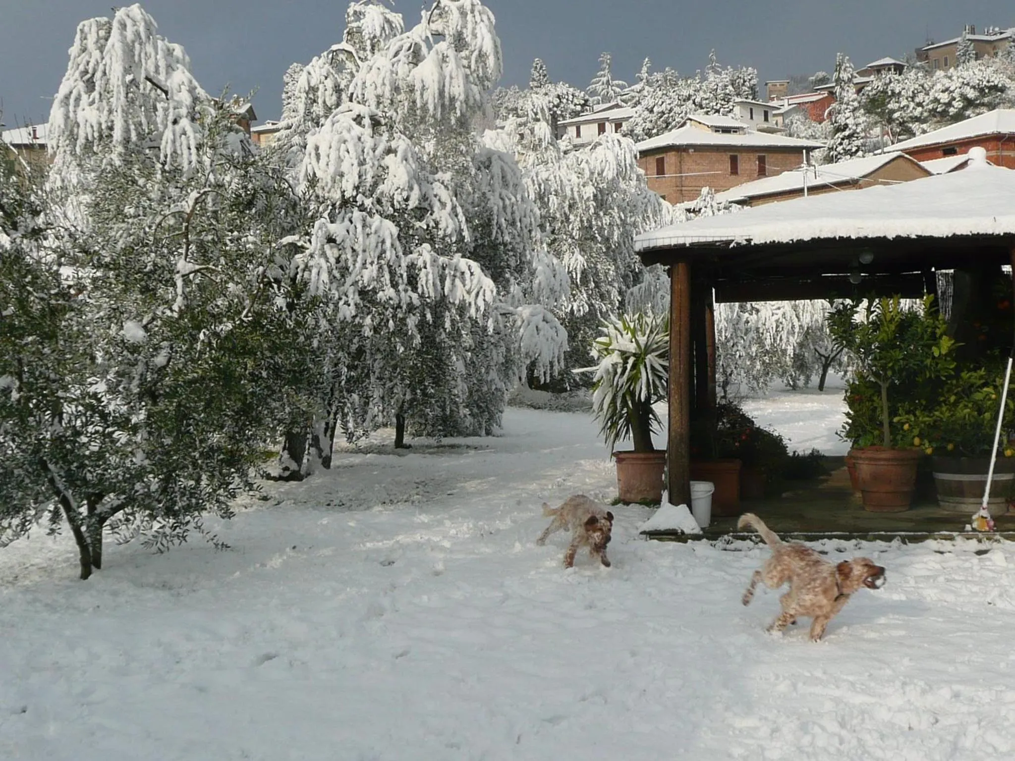 Facade/entrance in Il Baraccotto