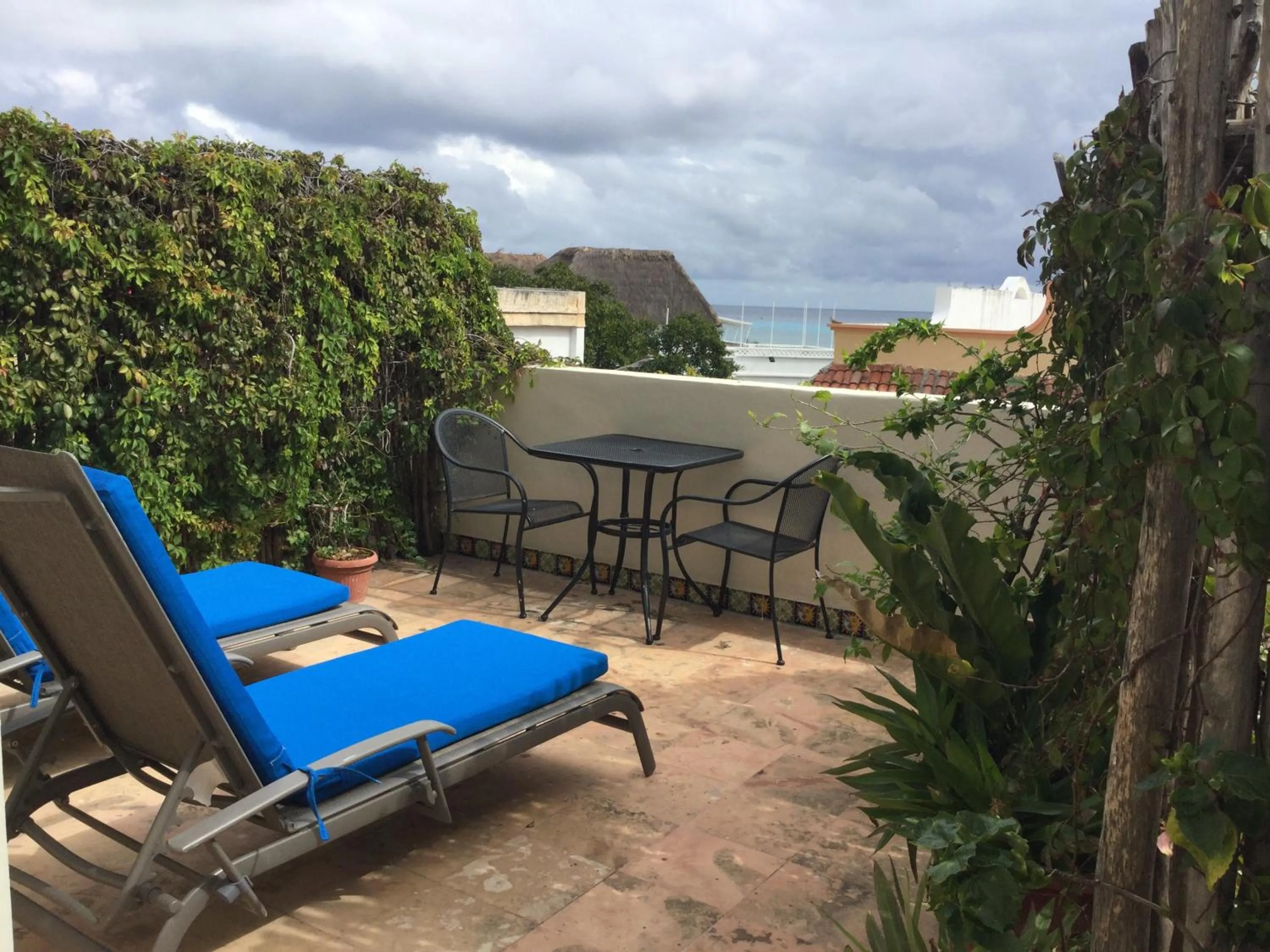 Patio in Boutique Hotel Delfin 5th Avenue