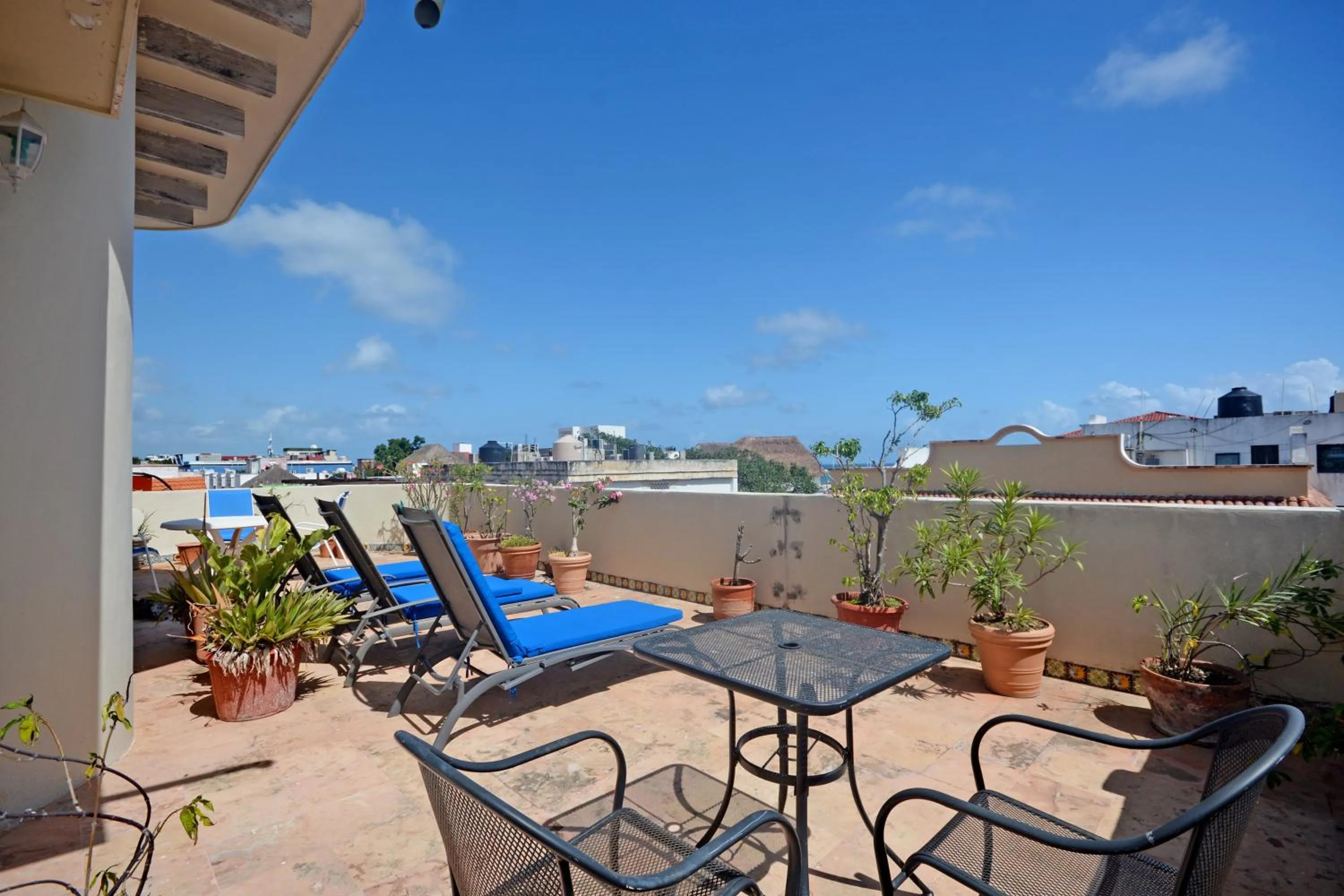 Patio in Boutique Hotel Delfin 5th Avenue