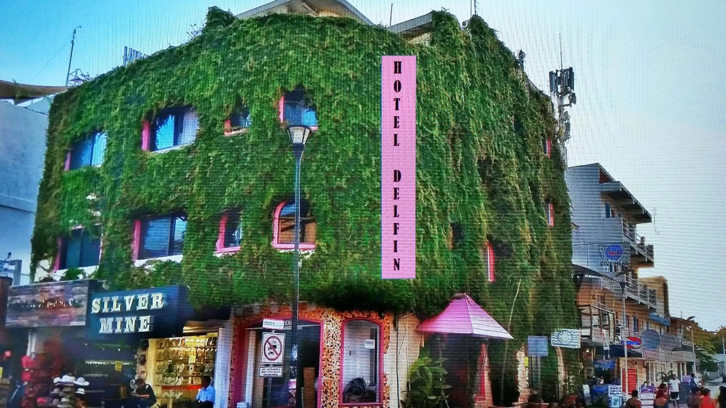 Facade/entrance in Boutique Hotel Delfin 5th Avenue