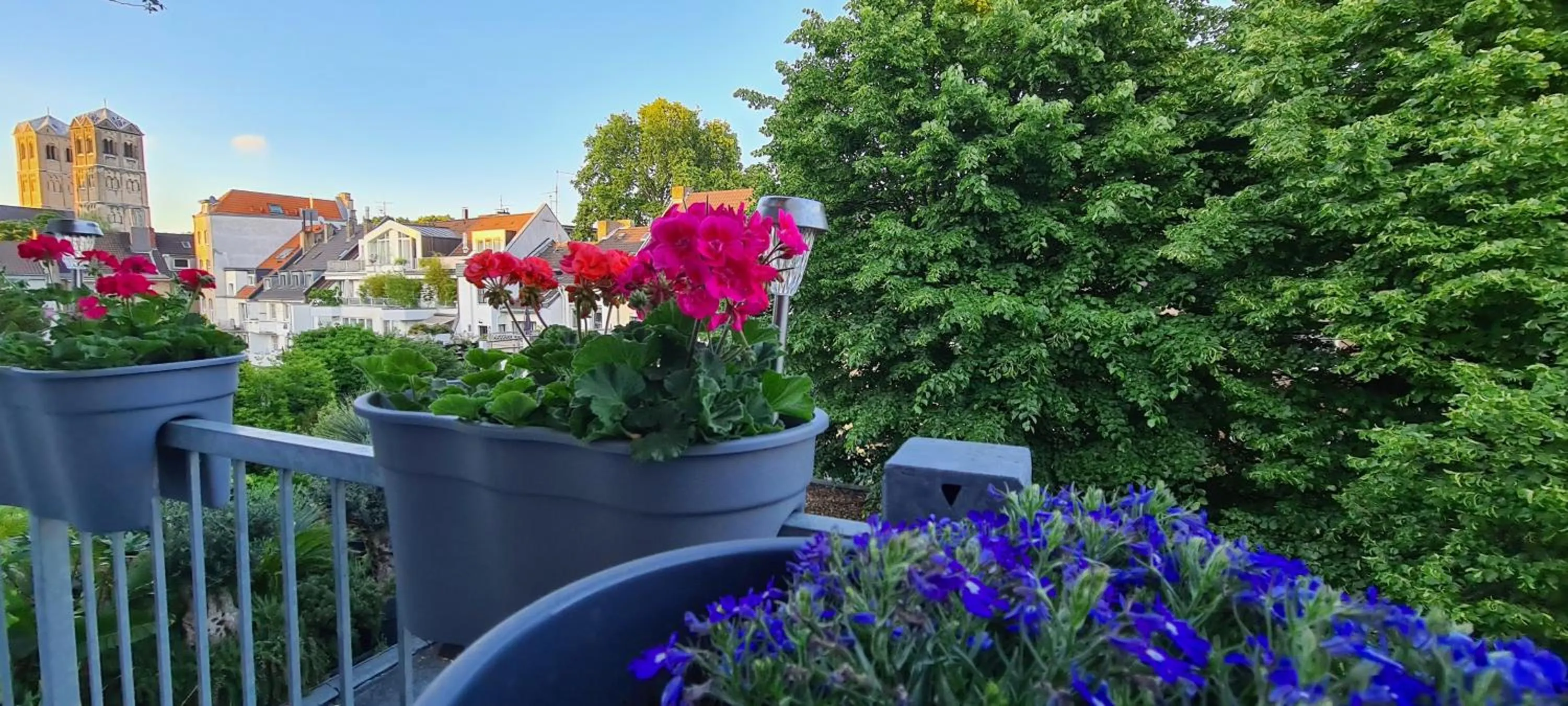 Garden view in Hotel Cara Vita Cologne