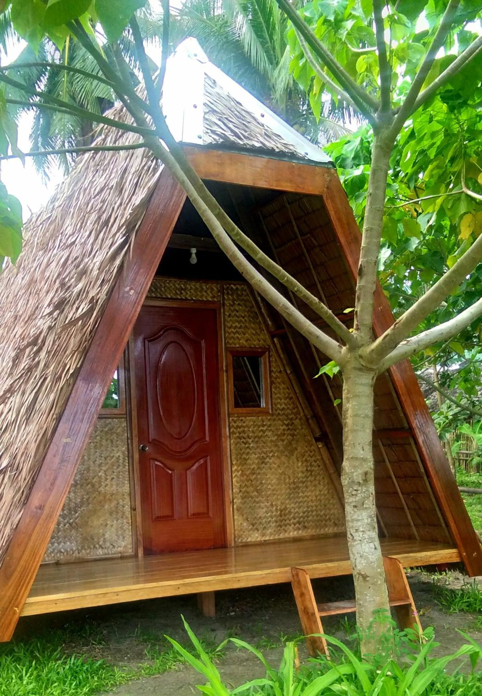 Property building in Acuario Beach Inn