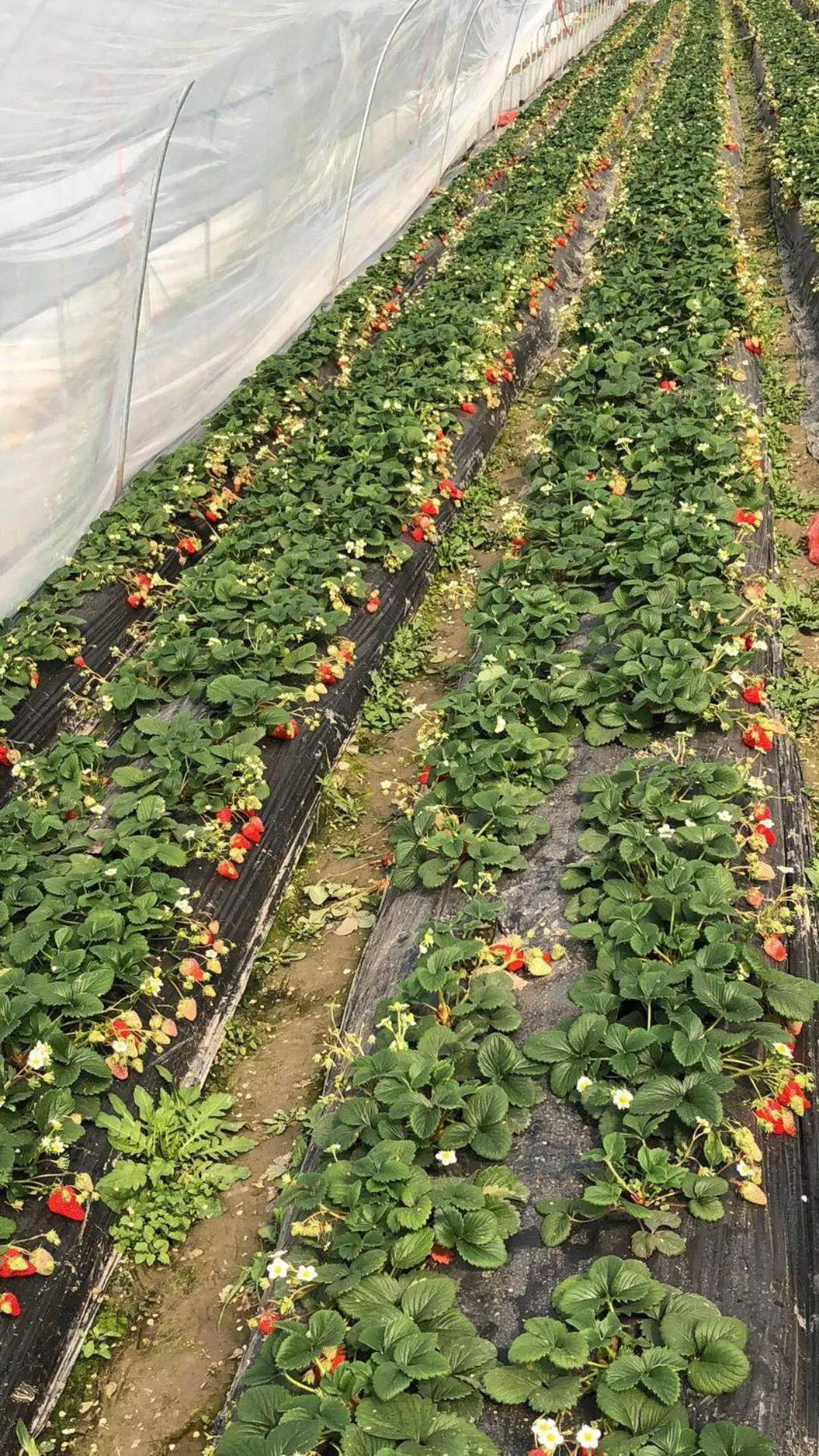 Auto City Ruili Hotel