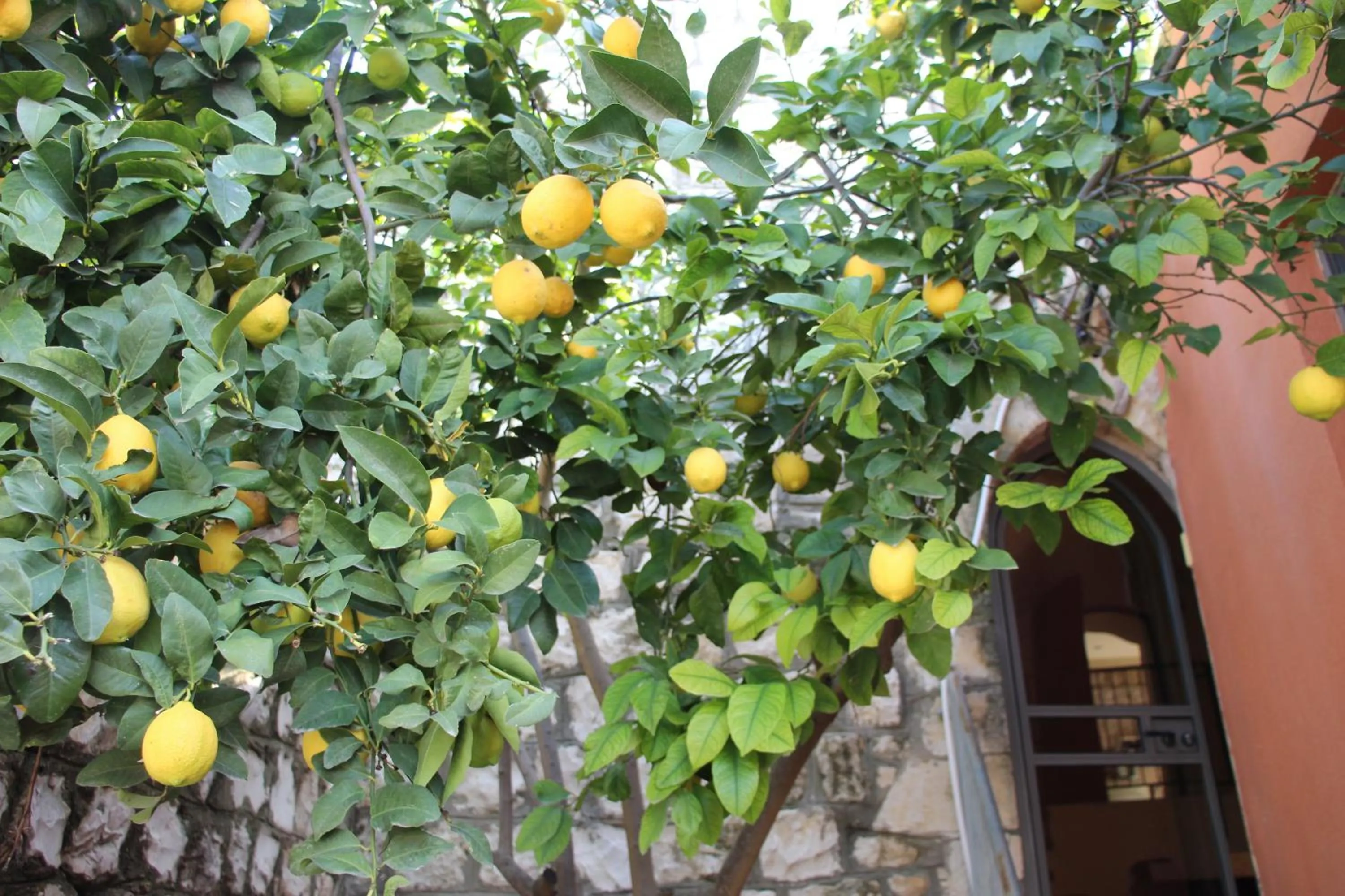 Patio in Artists' Colony Inn Zefat